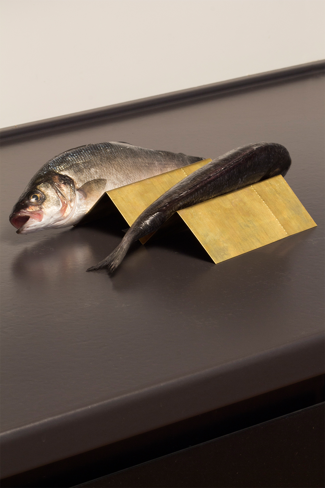 Bass holder, forged brass