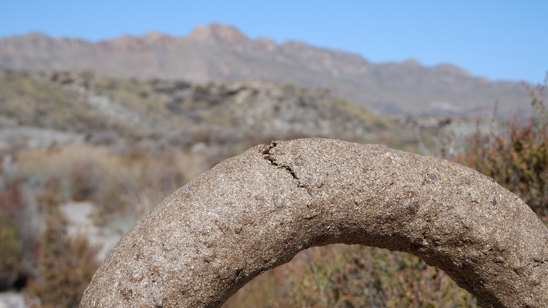 the temporality of an object