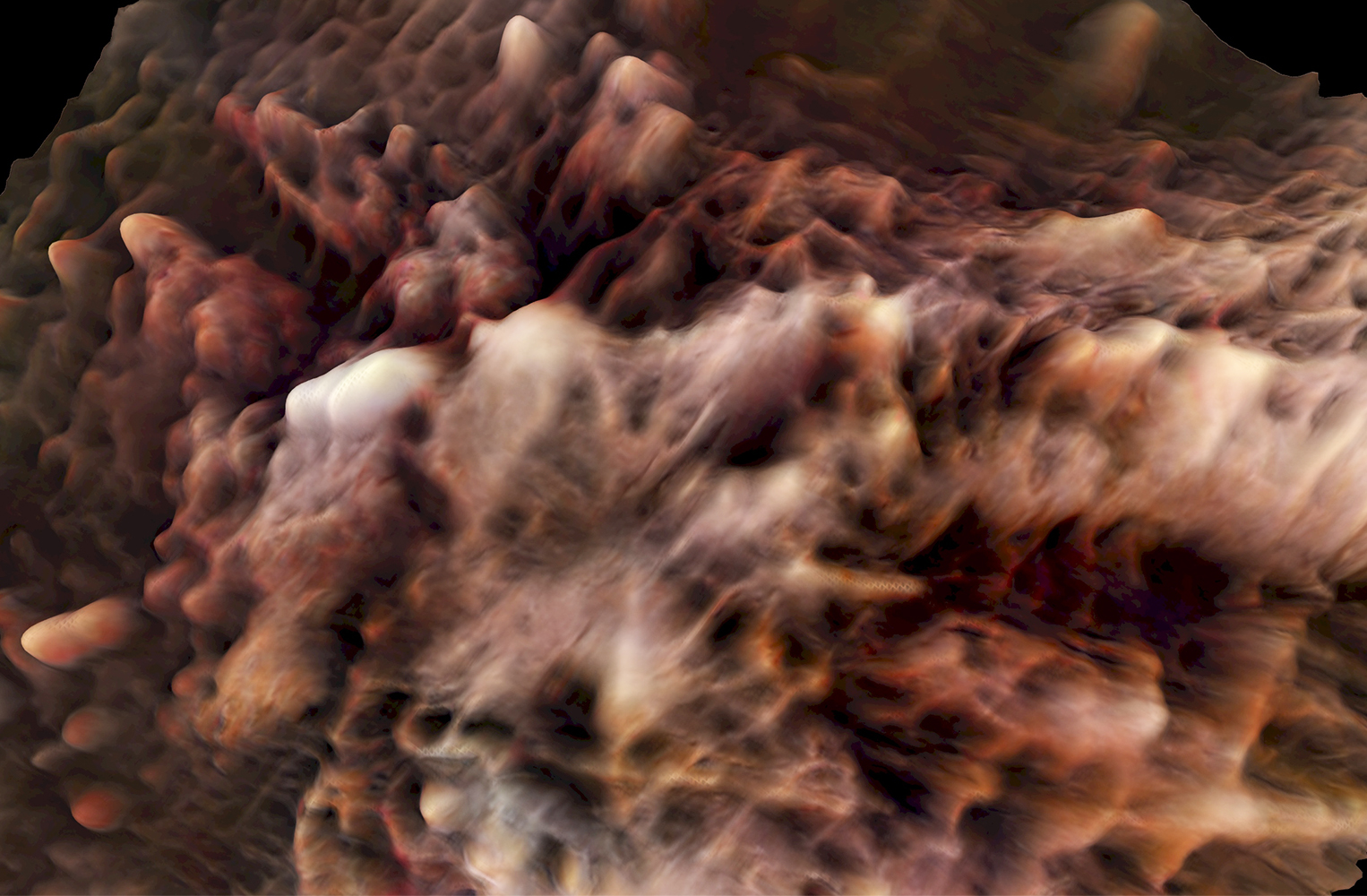 Elevation of an Ai generated Landscape