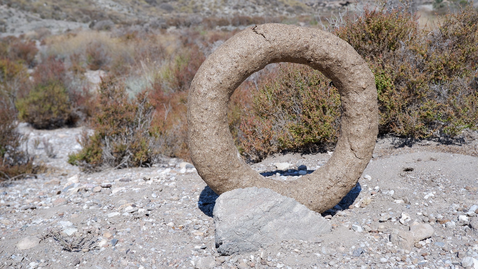 biodegradable art object in local surroundings