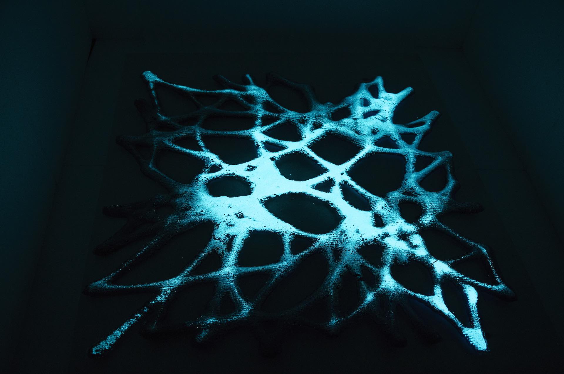 BIOPLASTIC ROBOTIC MATERIALIZATION