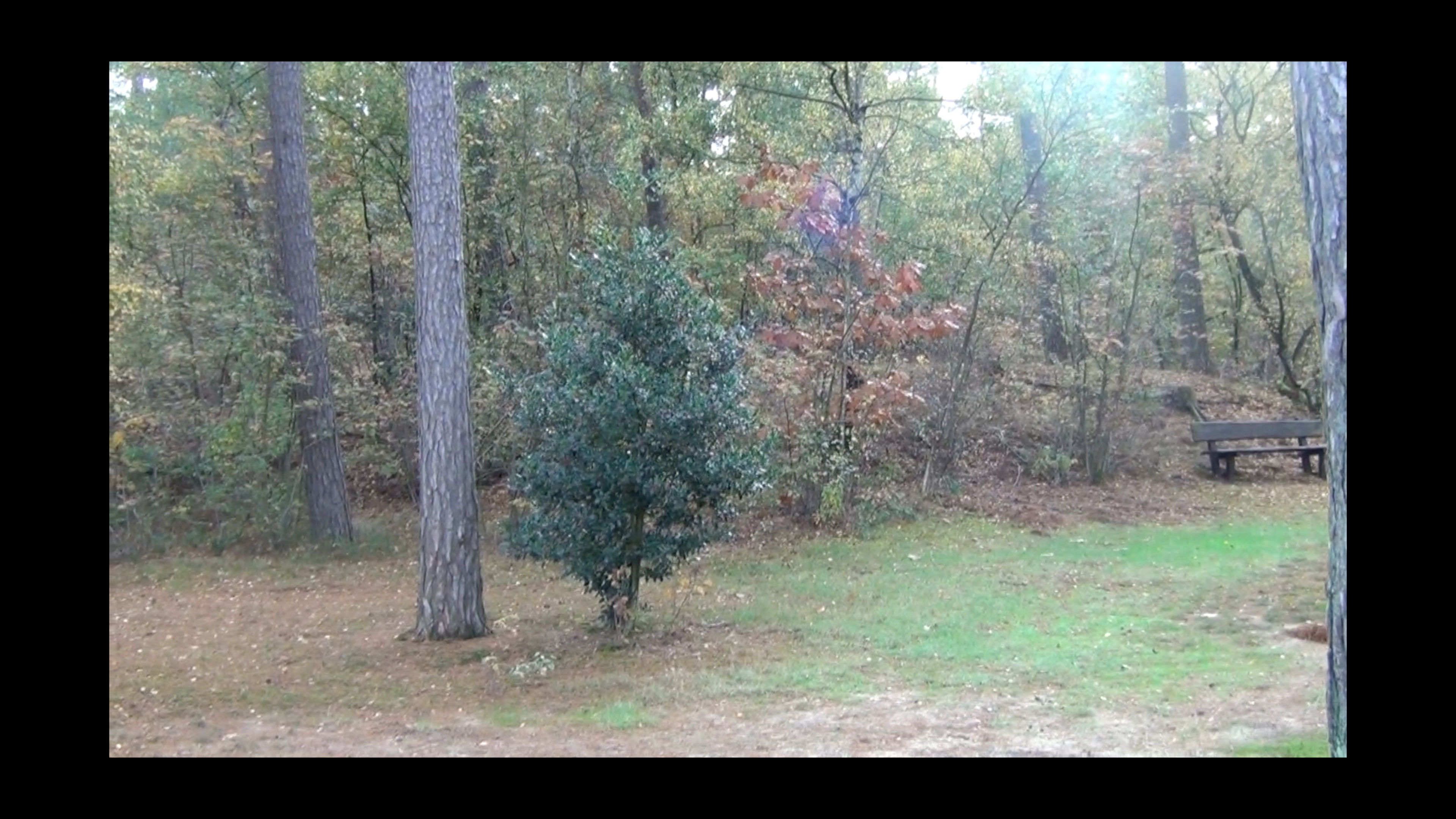 Footage shot by resident Monique