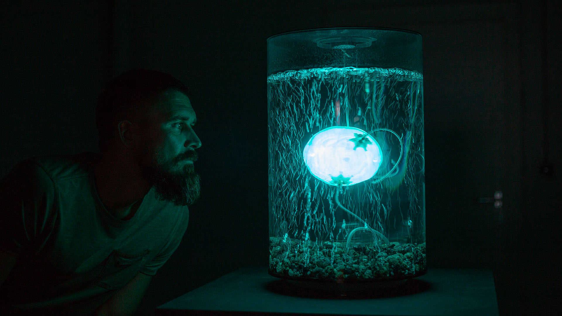 ArchaeaBot at Ars Electronica 2018