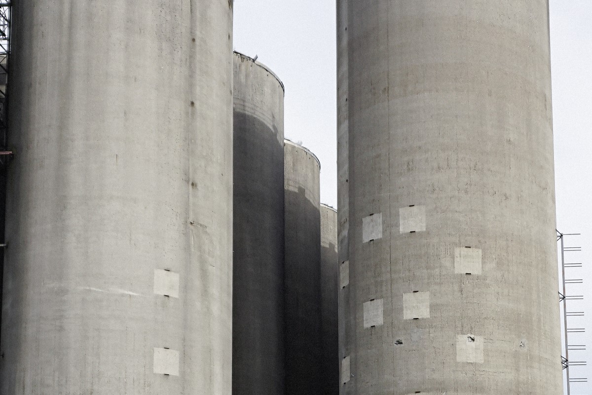 The Feed Factor