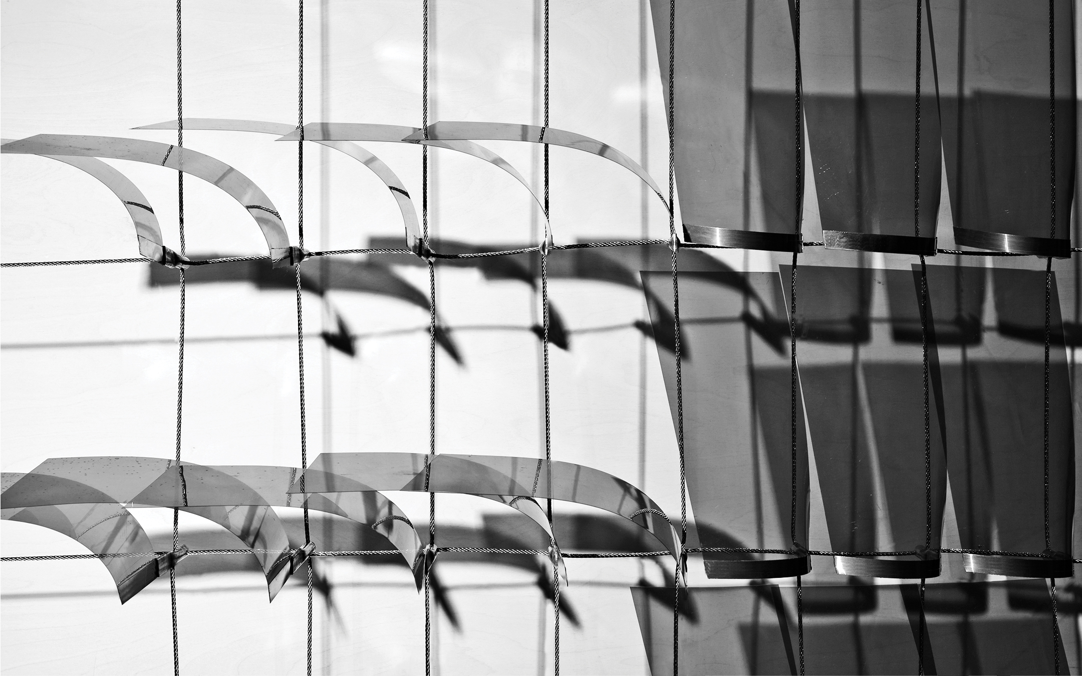 oriented vertically with sunlight on the right