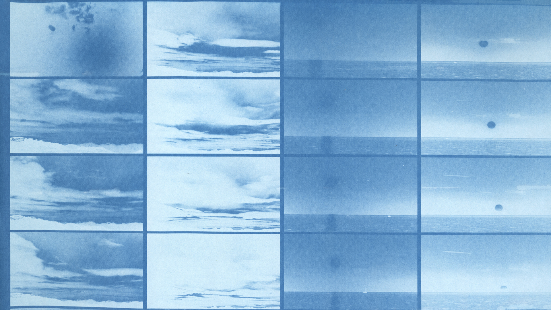 Cyanotype print