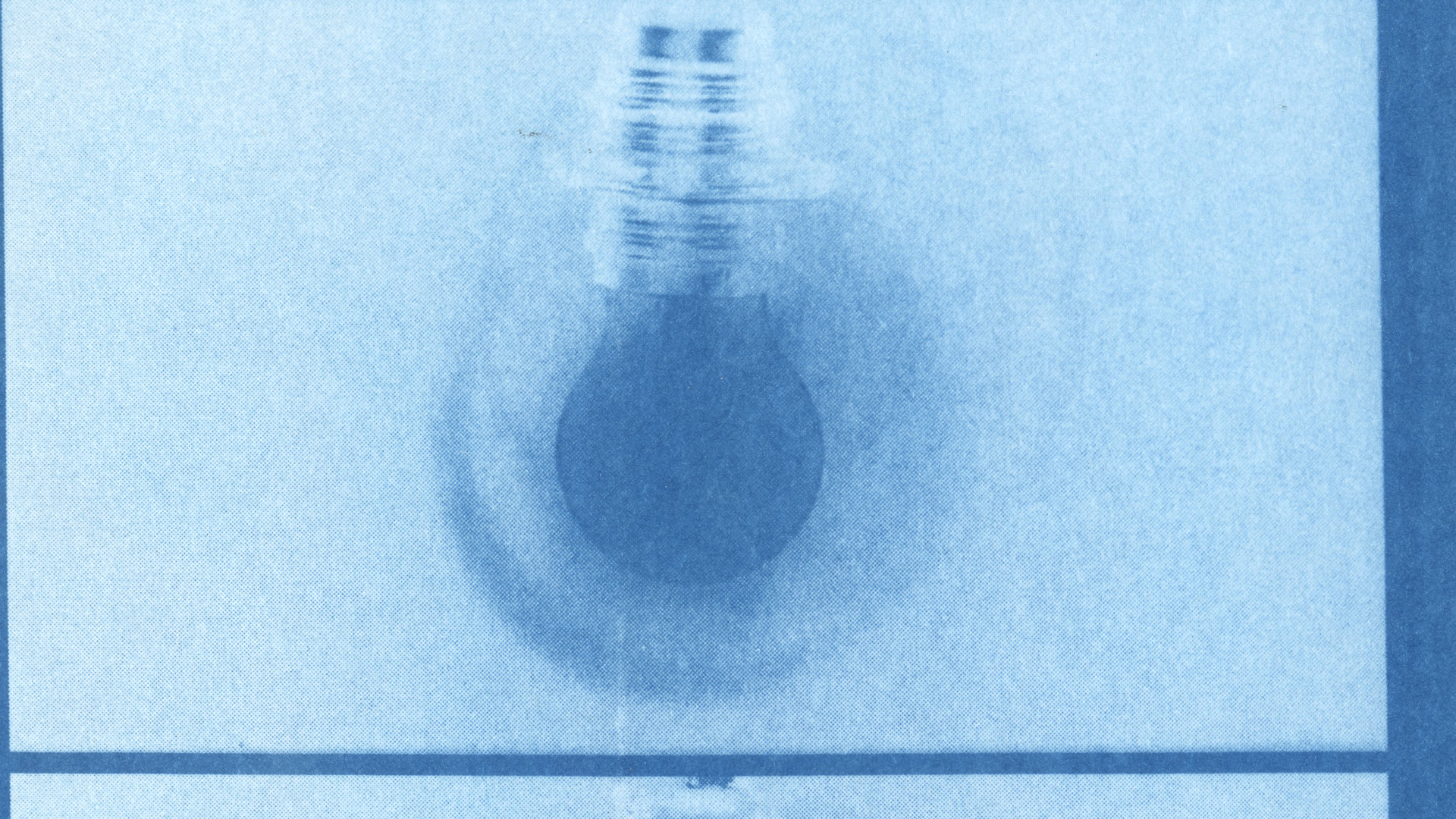 Cyanotype print