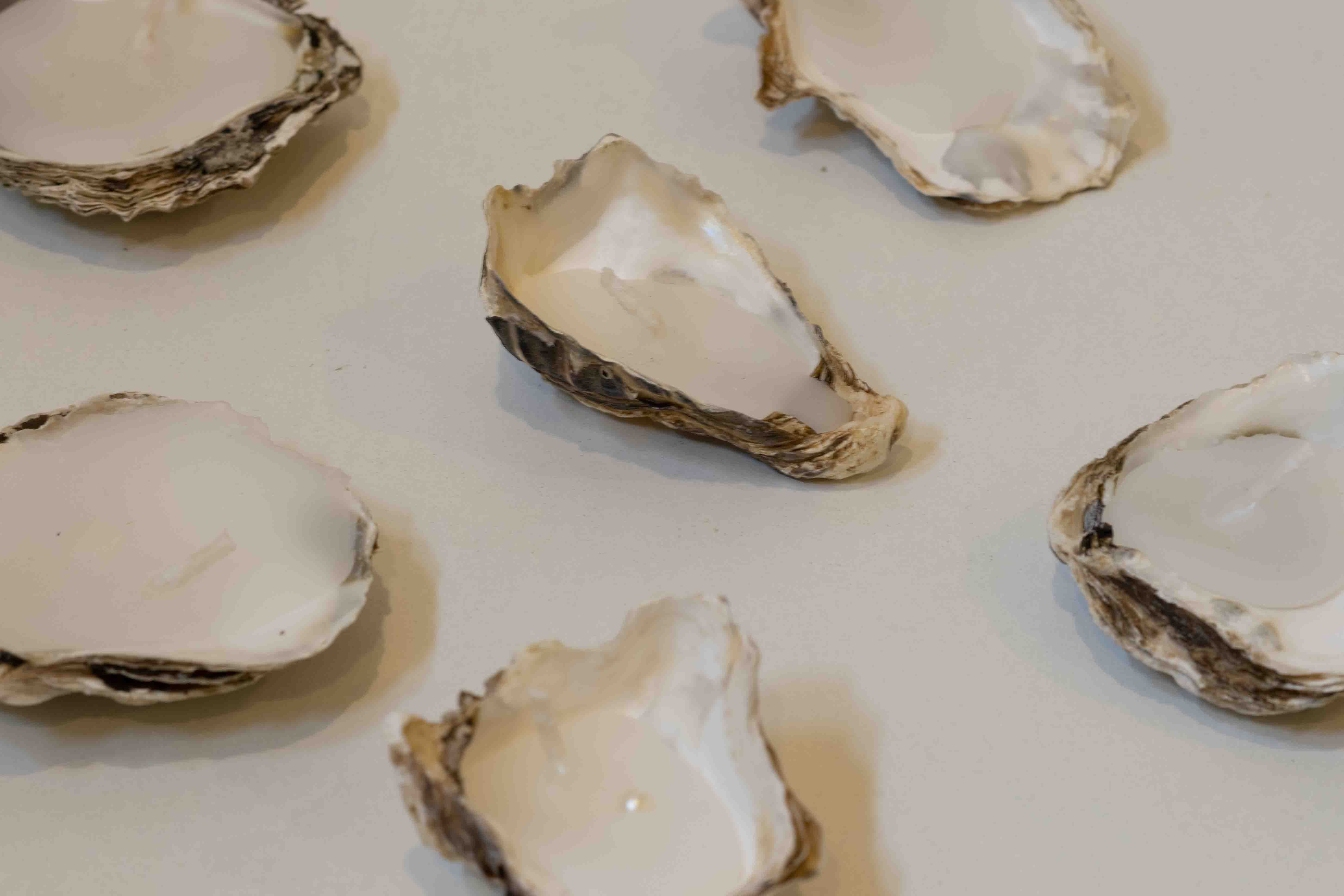 Parelkaarsjes van de zee