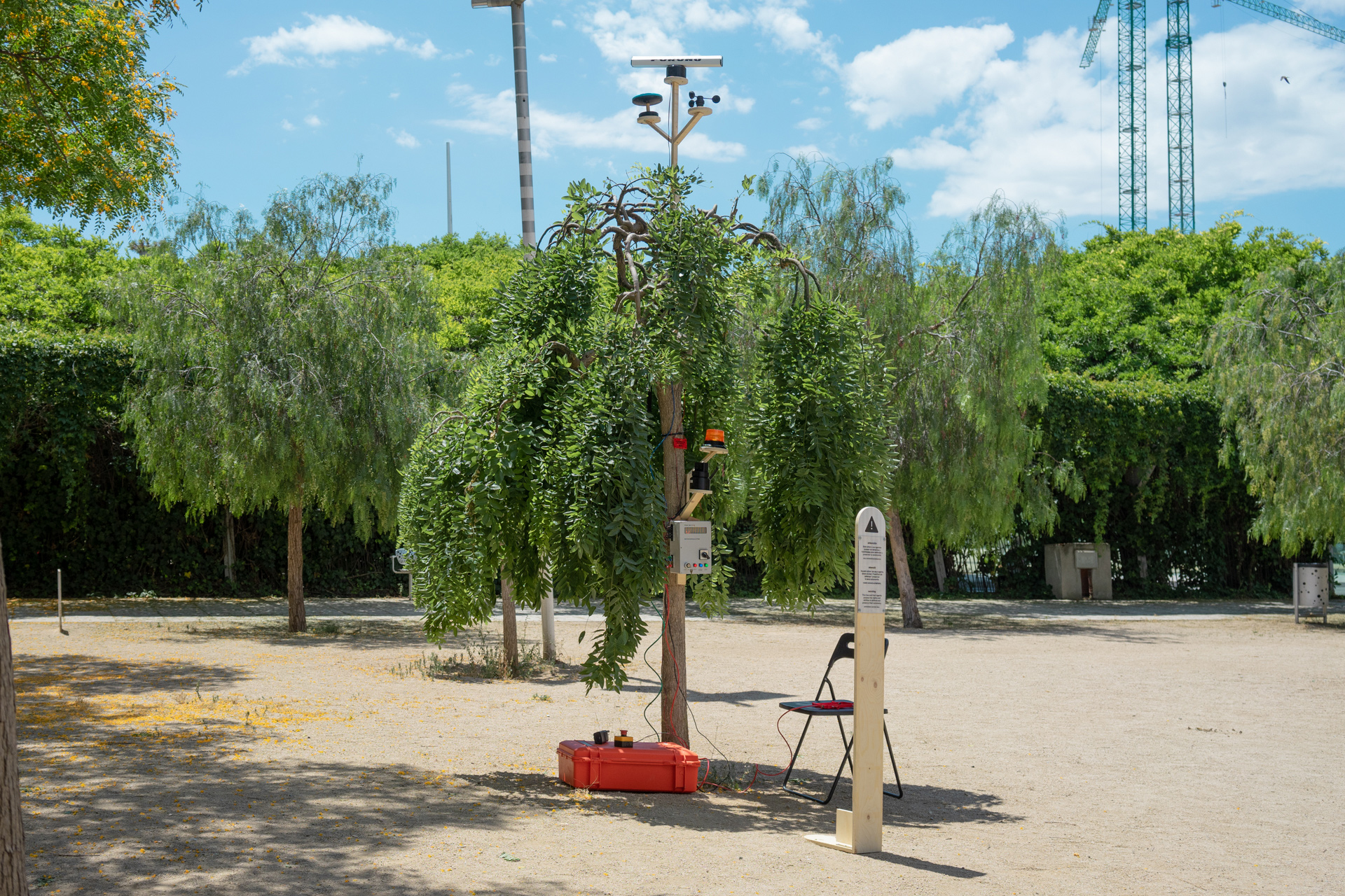 Autonomous Tree #0001 in Barcelona