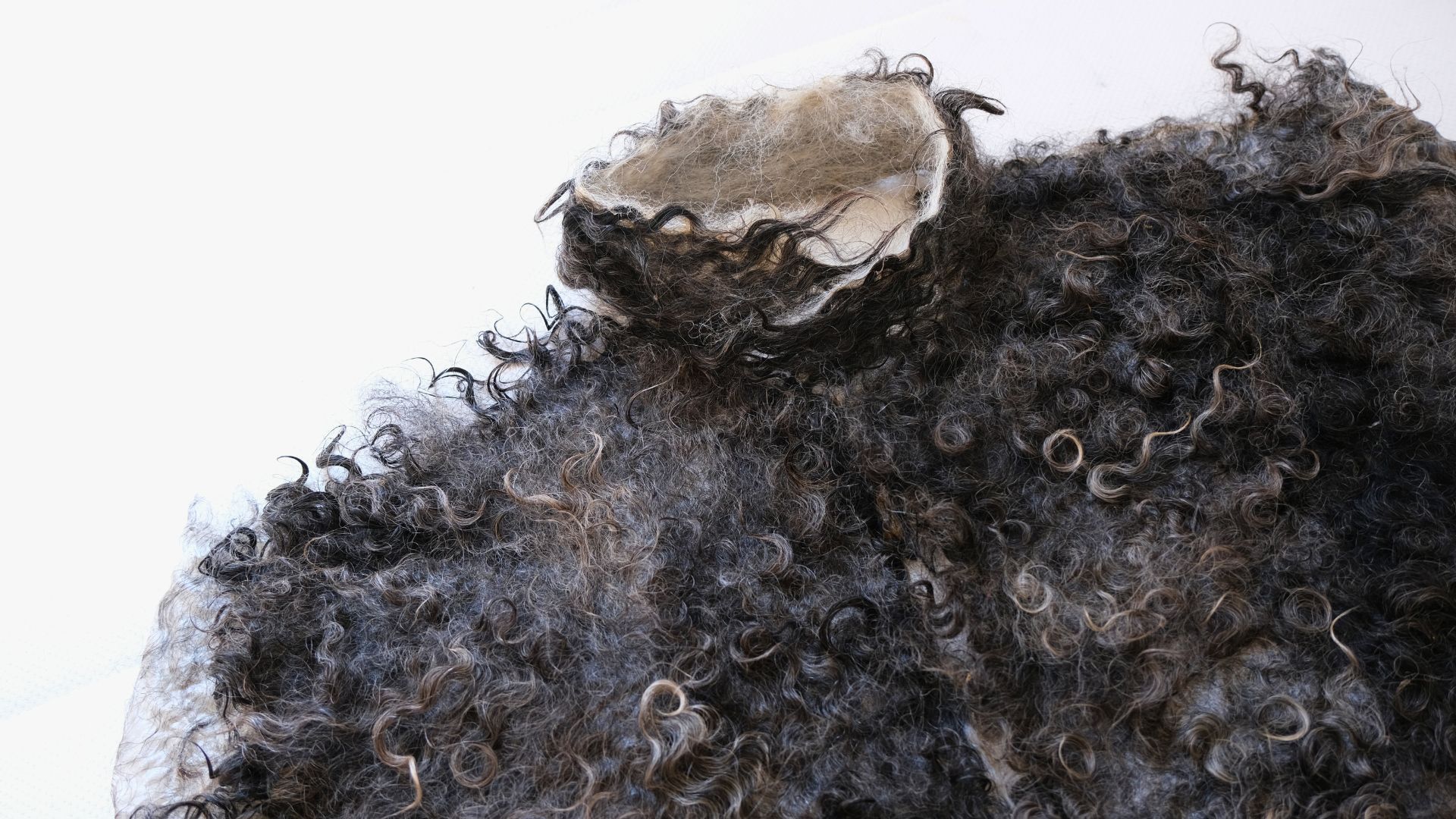 "GOTLAND:GARMENT INSTALLATION", 70CMX126CM