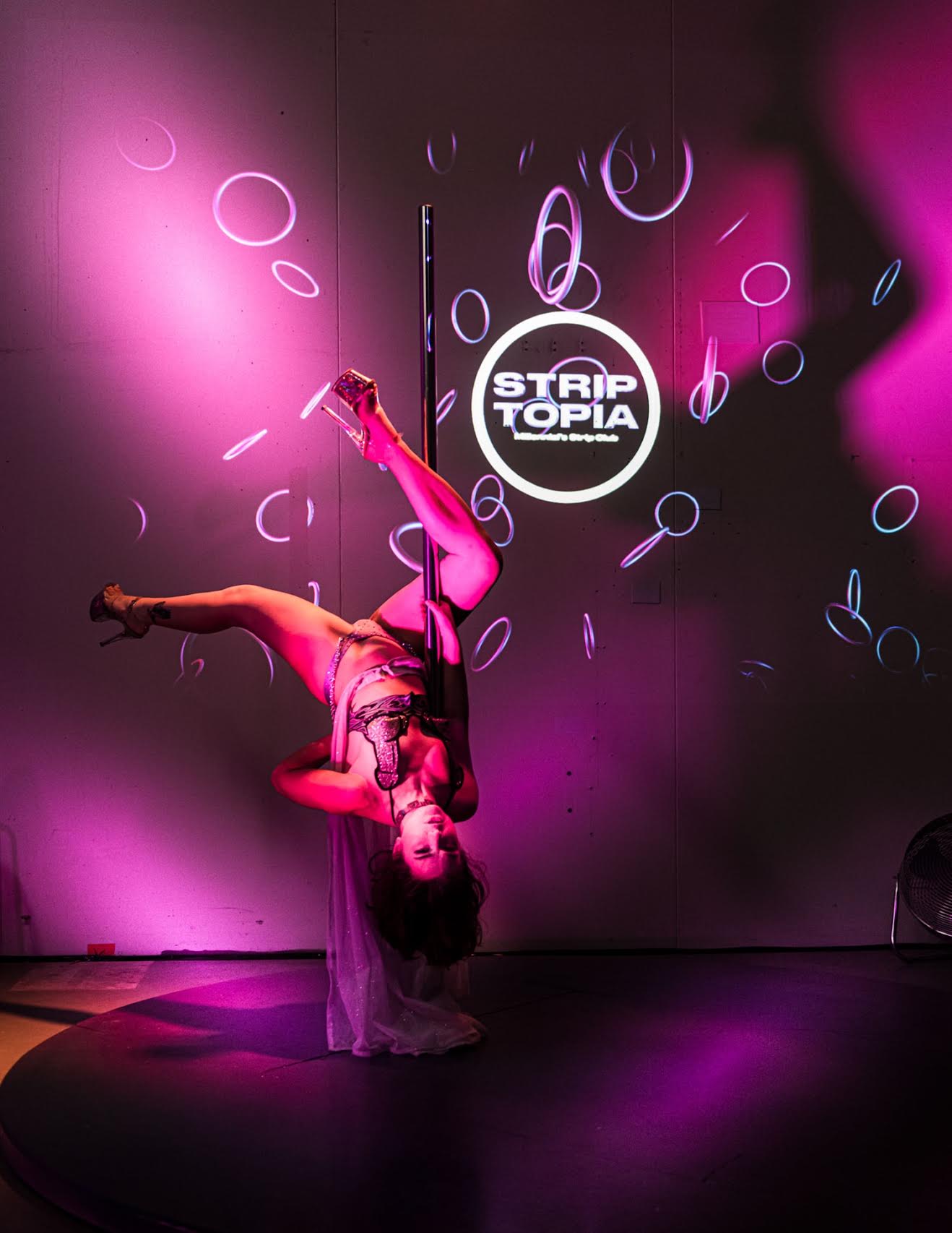 ddw 2019
