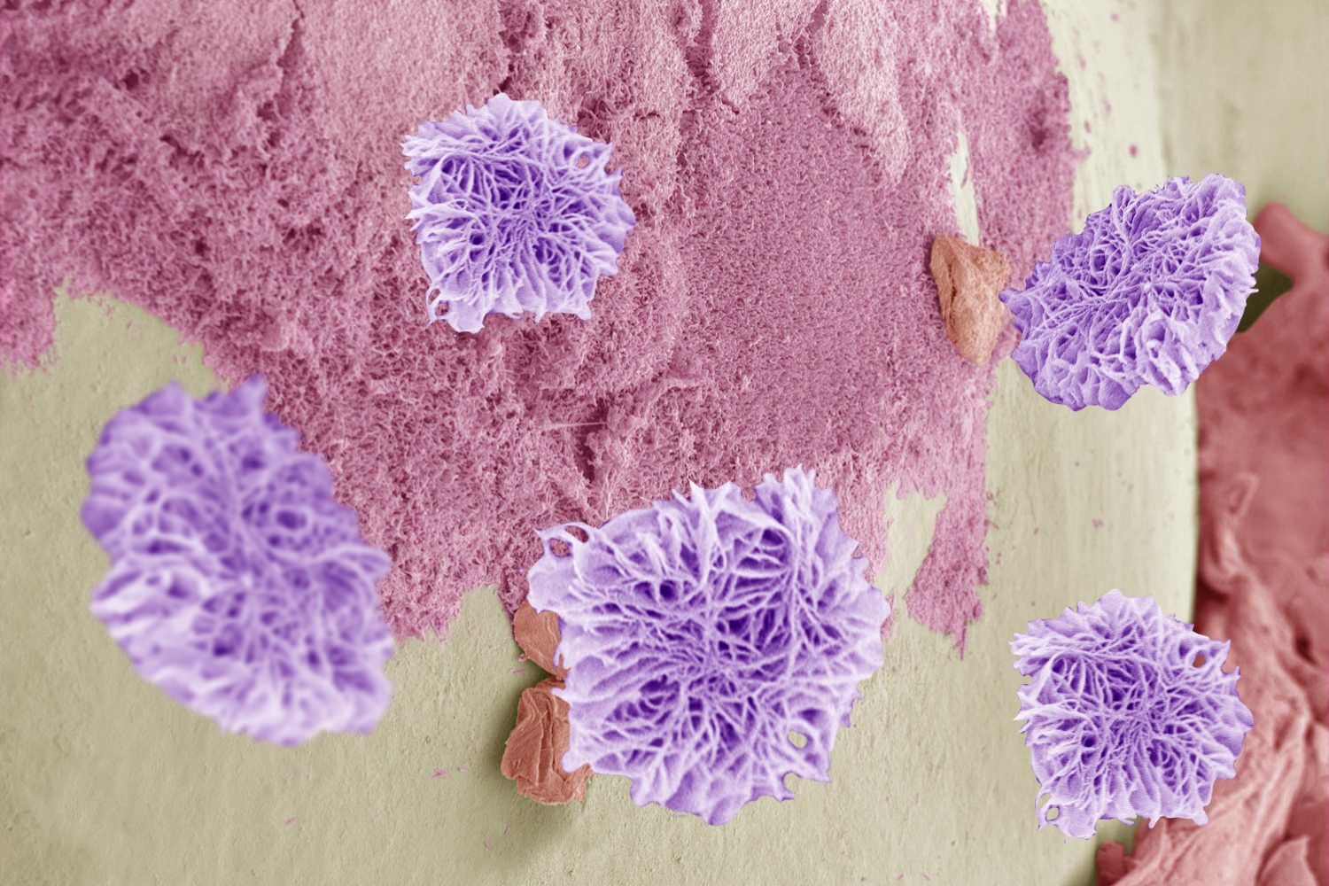 A still from a microbial animation