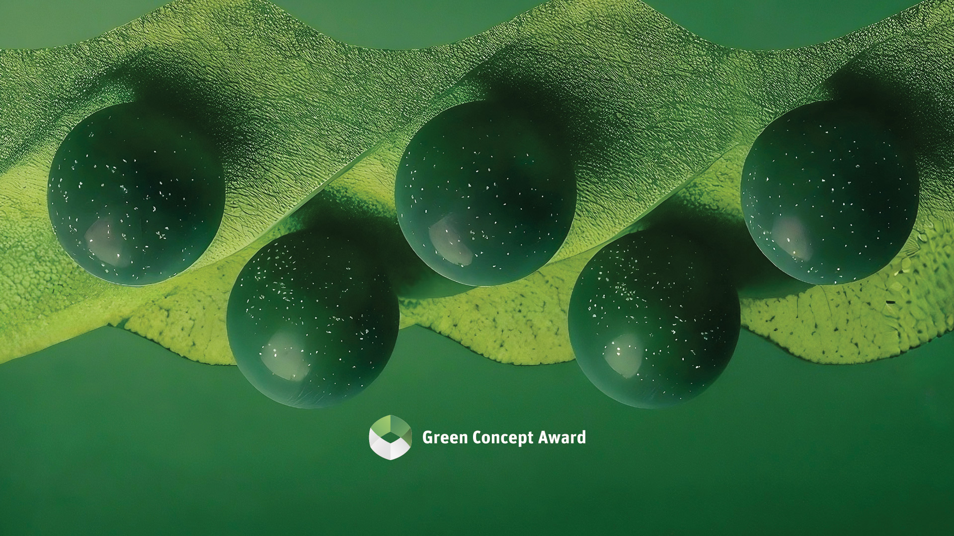 Apply to the Green Concept Award 2025