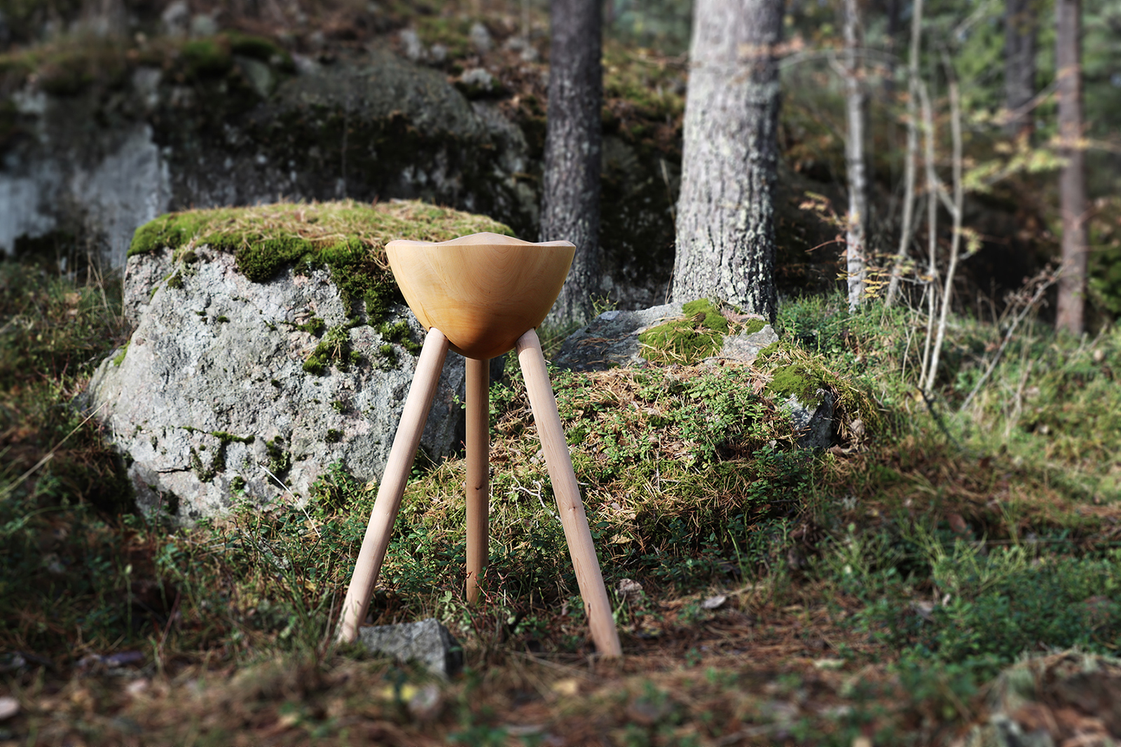 Metsä – Forest from the designer's perspective