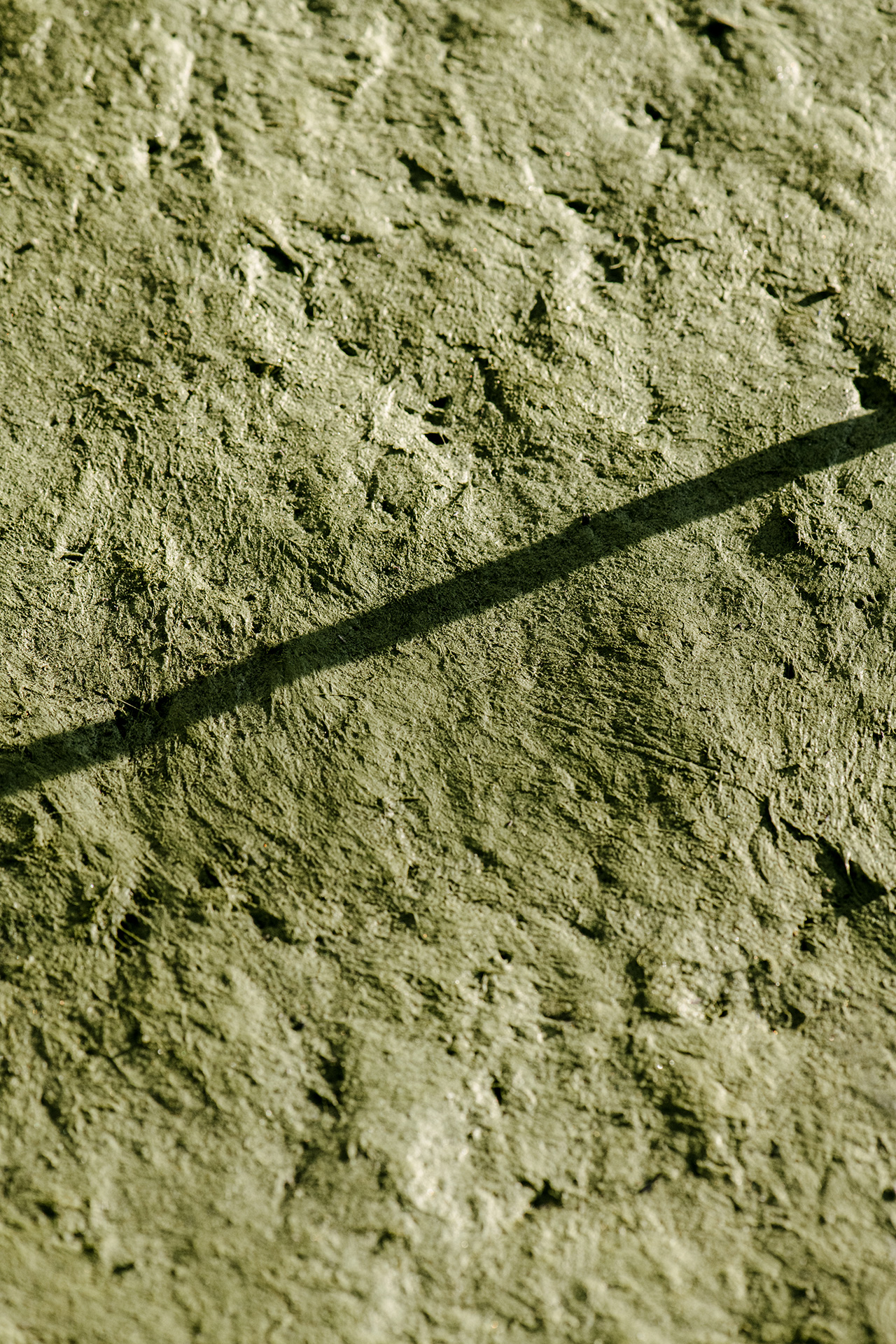 Algaecrete Detail