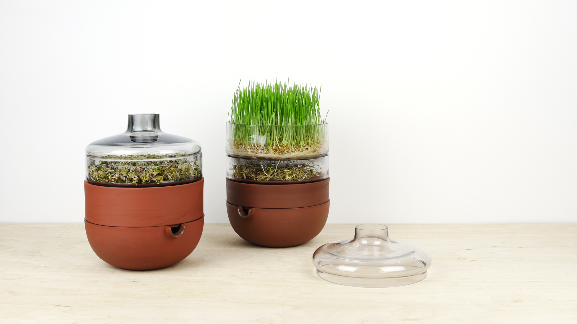 A modular growing system for sprouts &amp; micro green