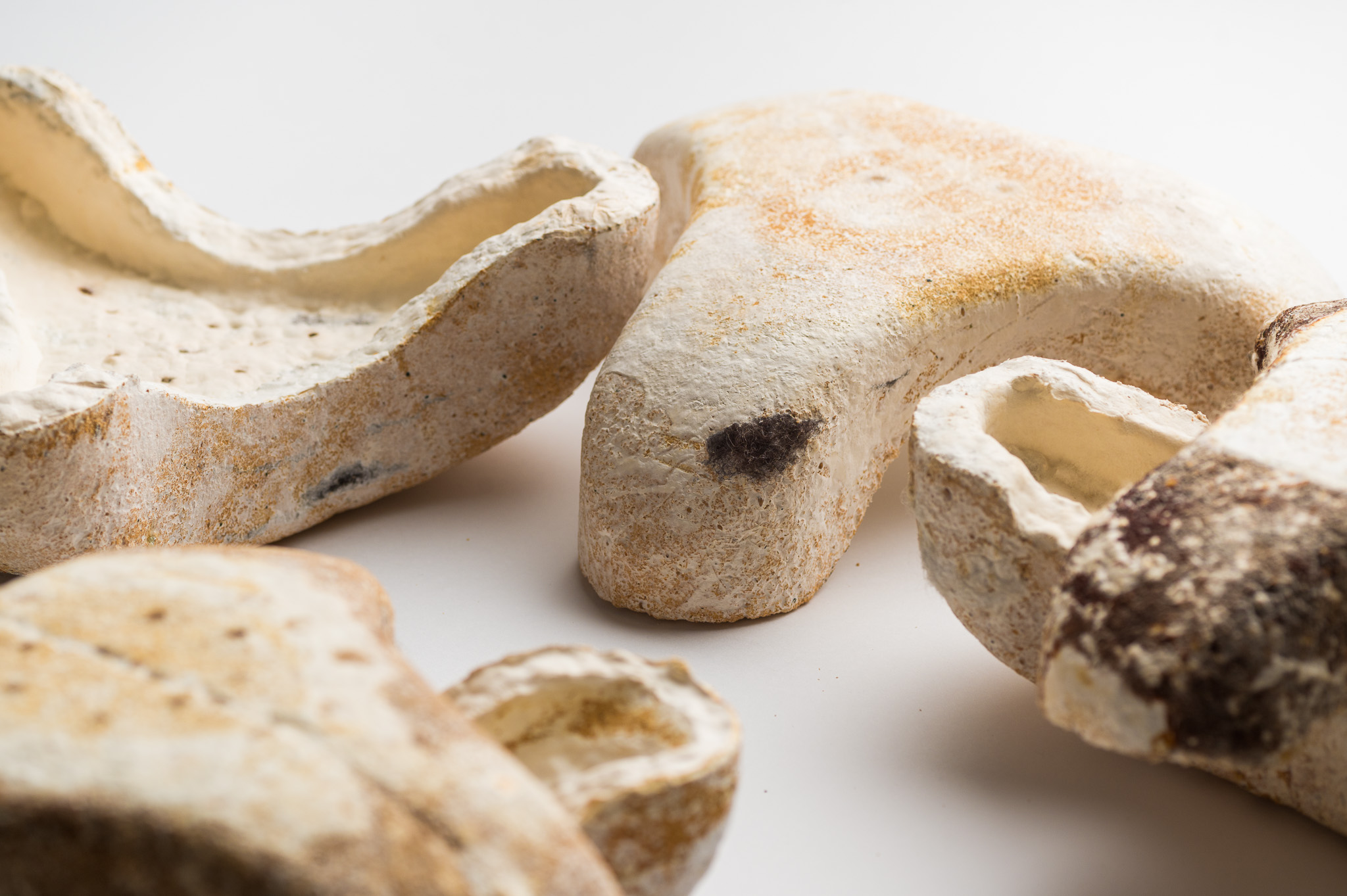 mycoSonic Mycelium Acoustic Panels