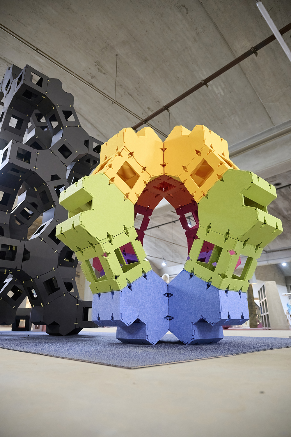 From Alaska to Eindhoven: A Voyage in Frozen Forms