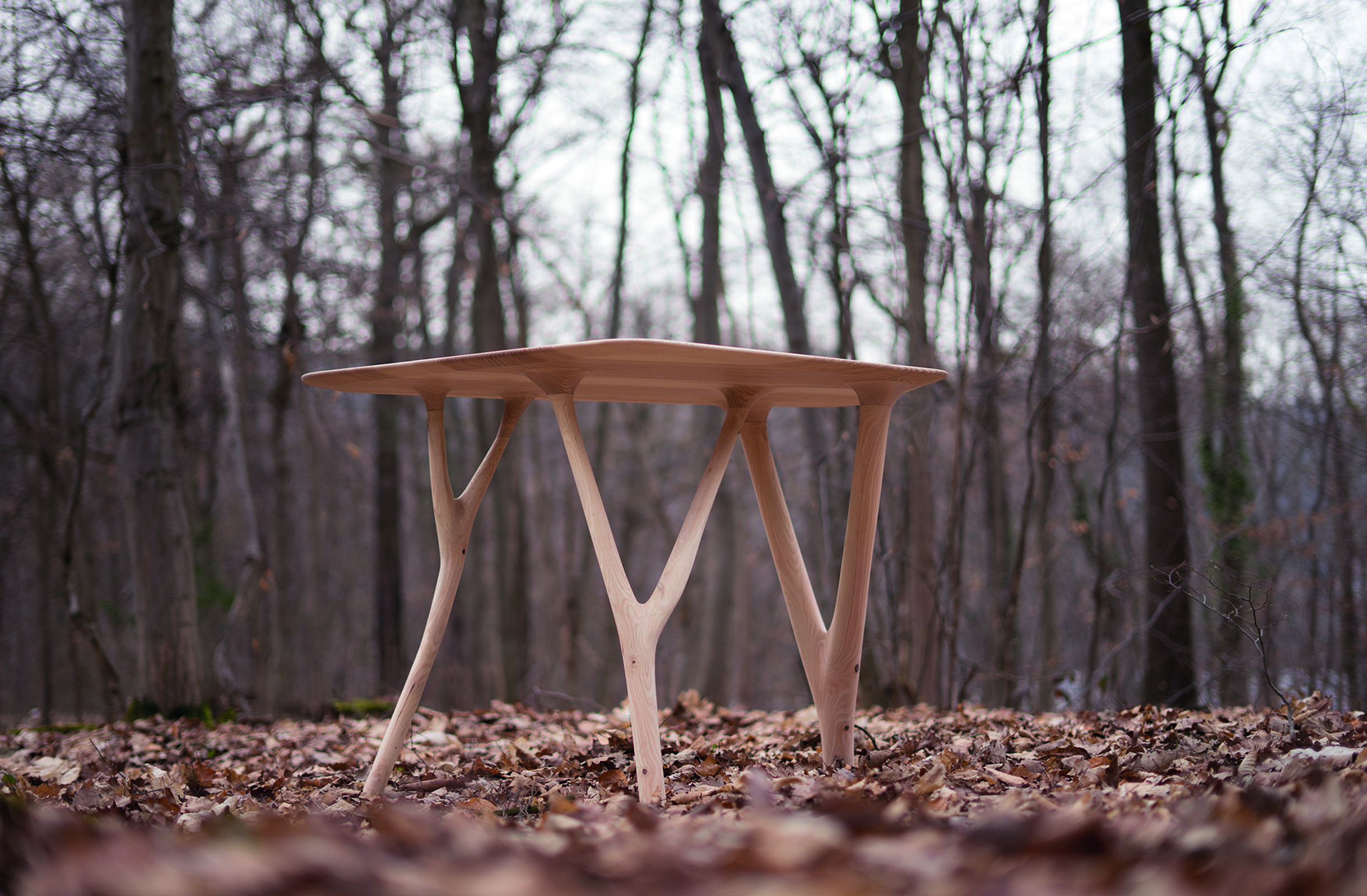 regrowth - adaptation table