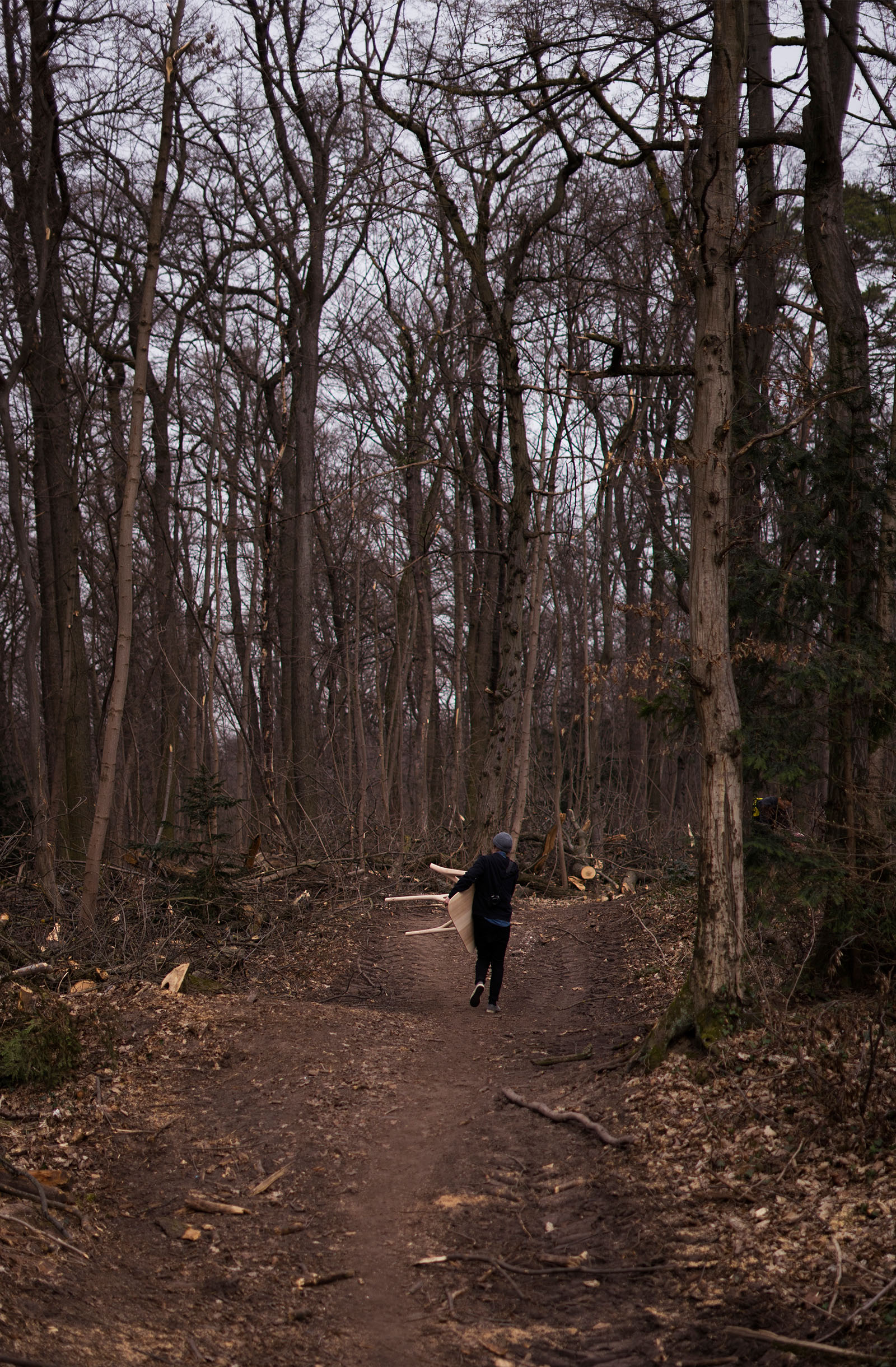 in the forest