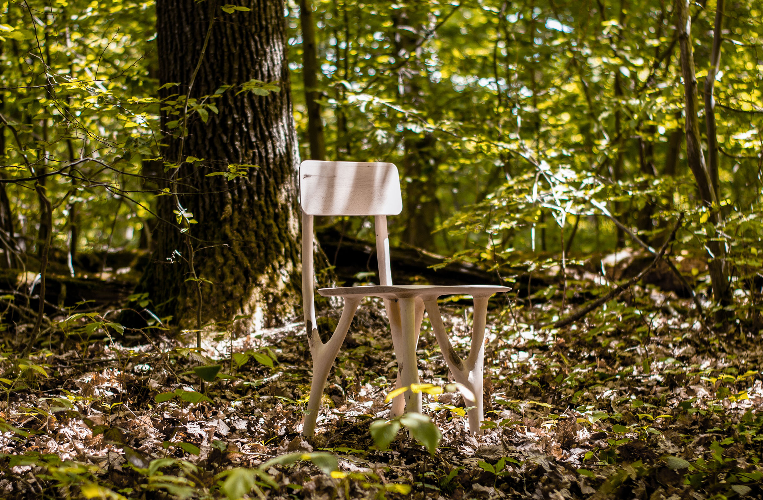 regrowth - adaptation chair