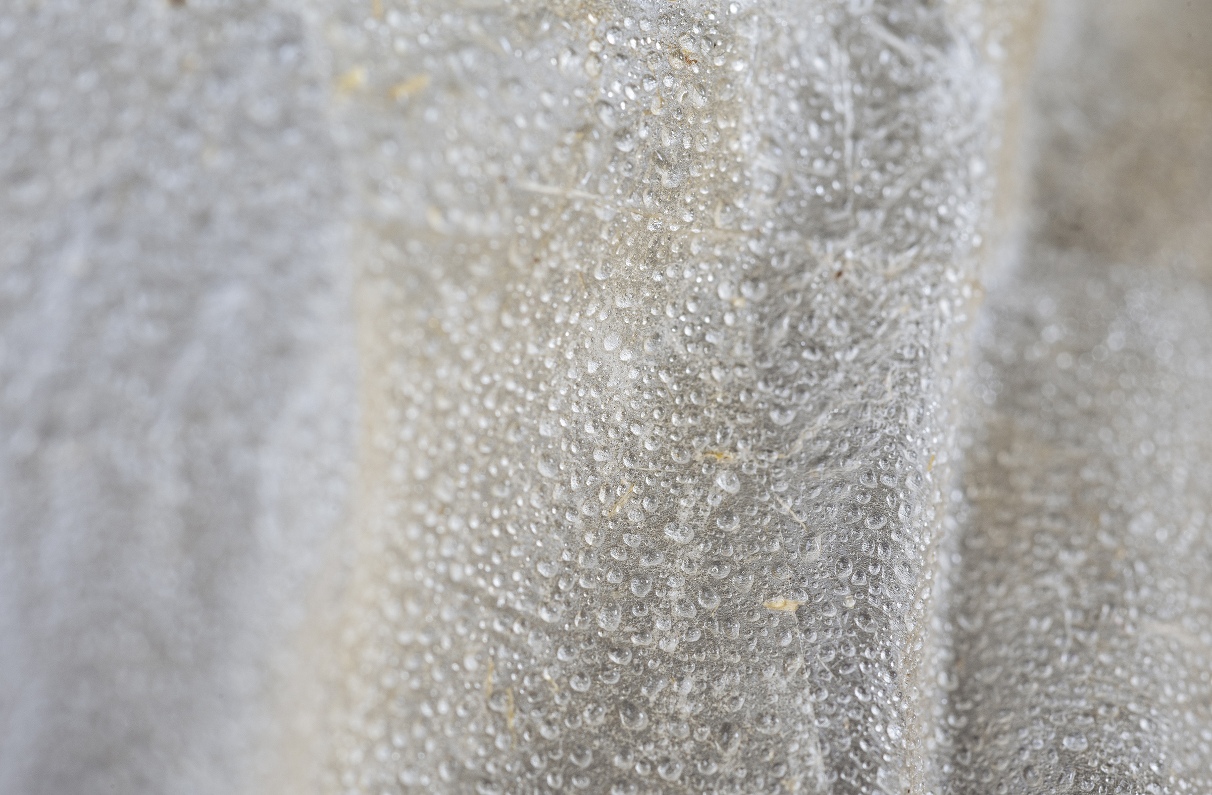 Water-repellent and tear-resistant material
