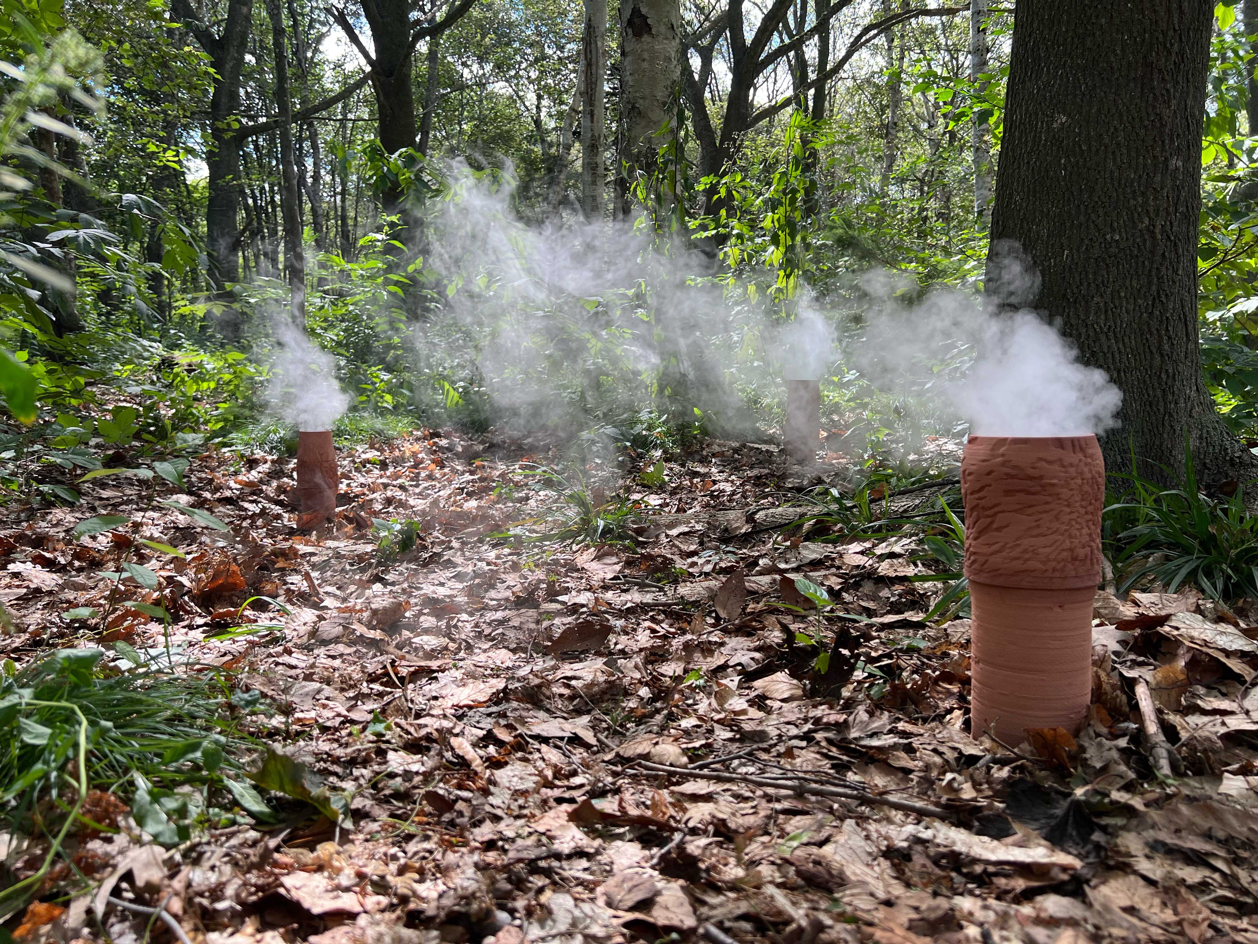 Soil Steams in the Viktoria Park forest (Canada)