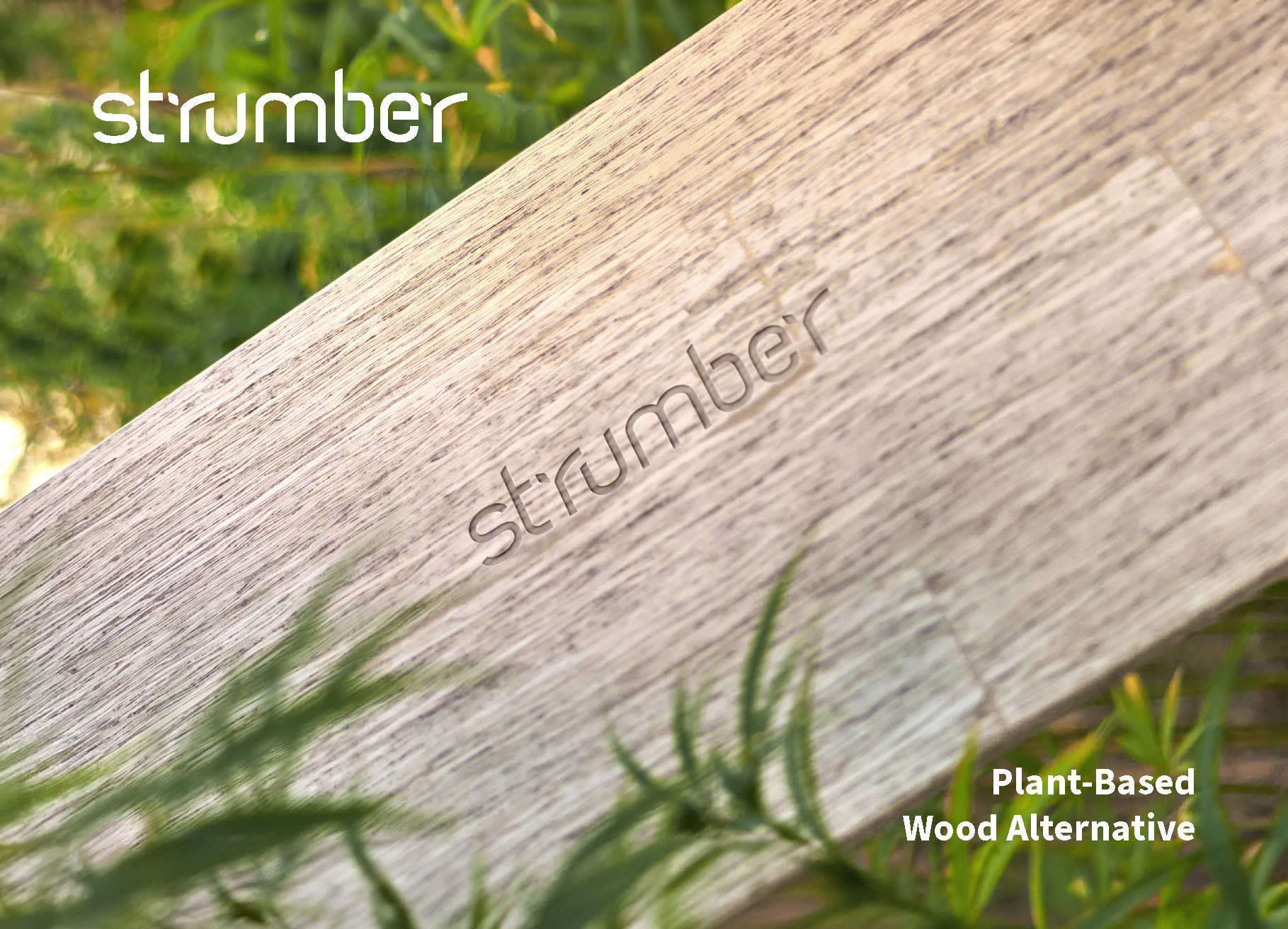 Strumber by The True Green