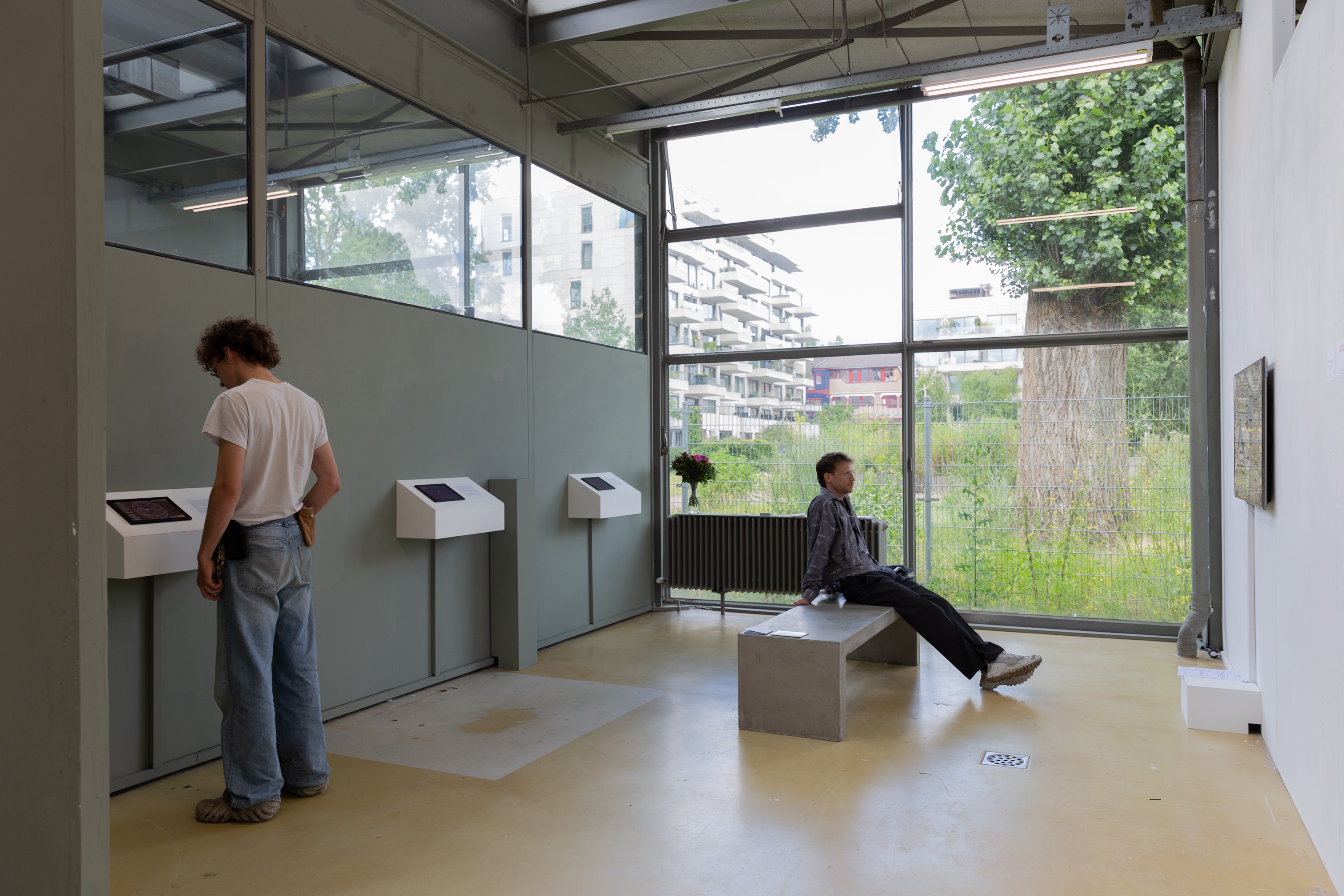 Installation "Icarus Downfall"