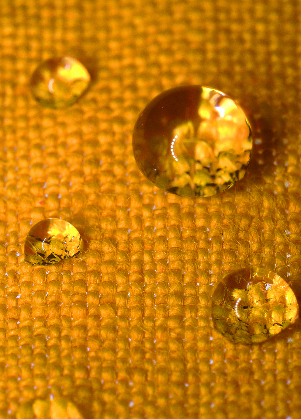 Hydrophobic coating made from sunflowers