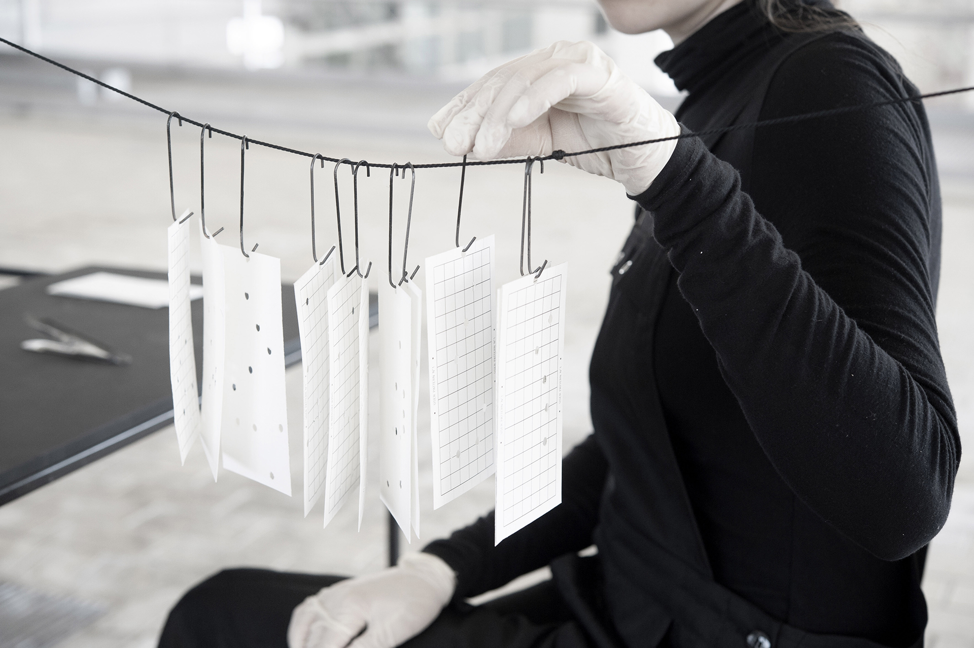 Punch cards: user patters or "dataomes"