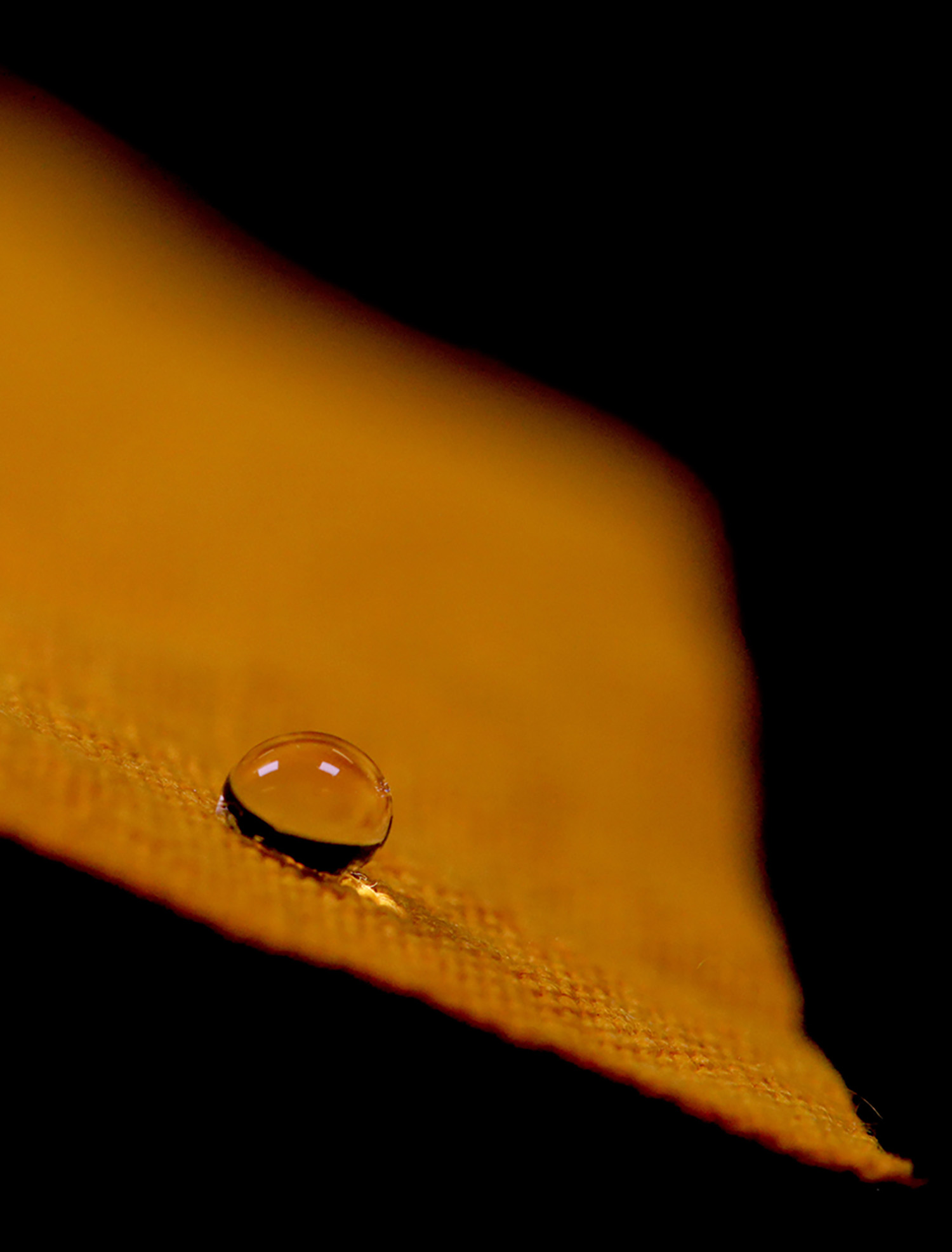 Hydrophobic coating