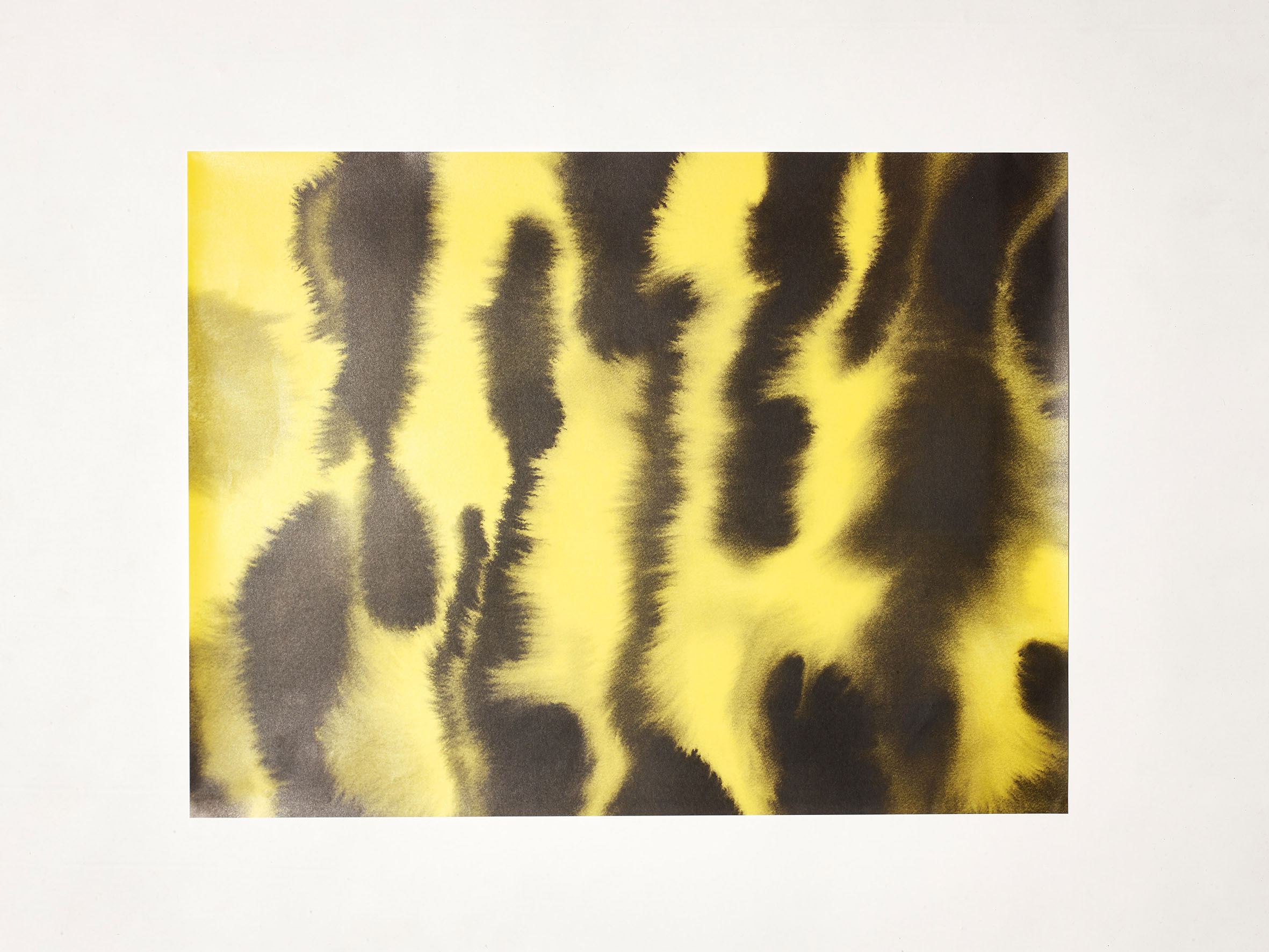 Wild Animals - Tiger Wrapping Paper
