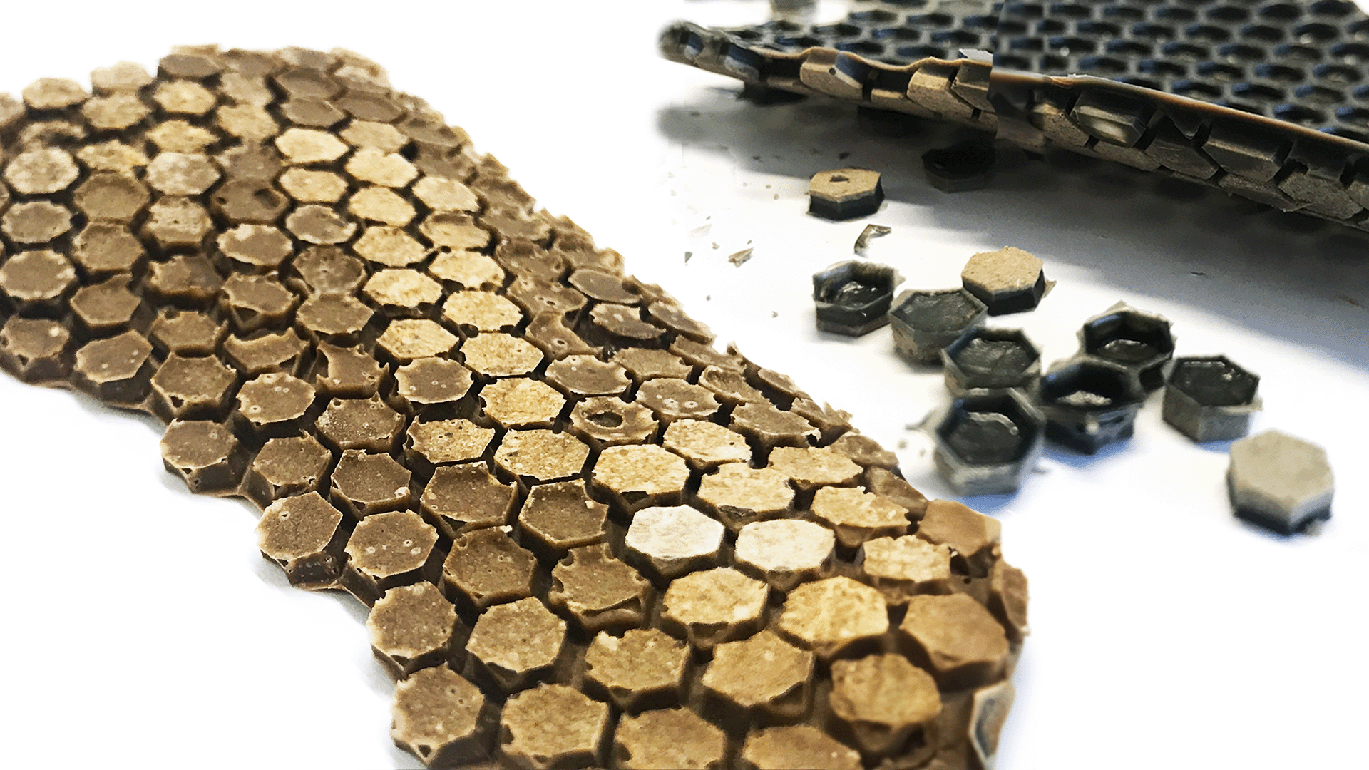 İnitial biomaterial samples made from sea shells