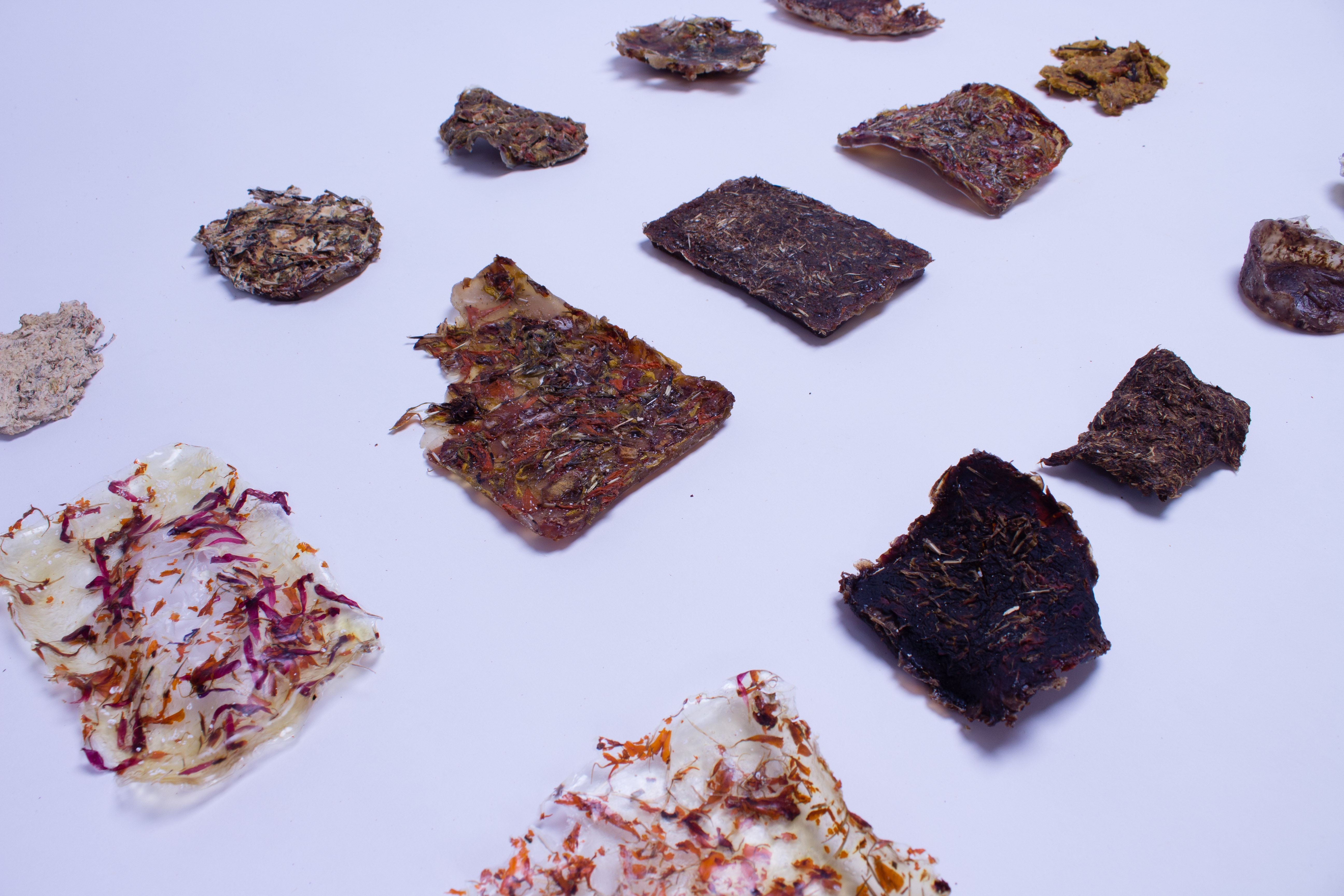 material exploration of used flowers