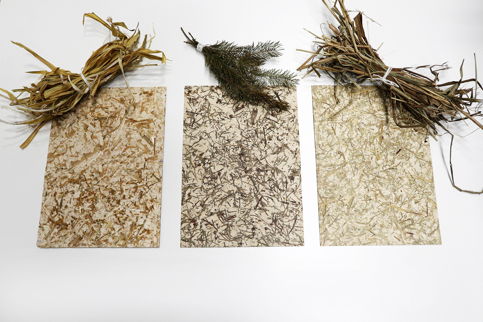 BioM - made of organic waste