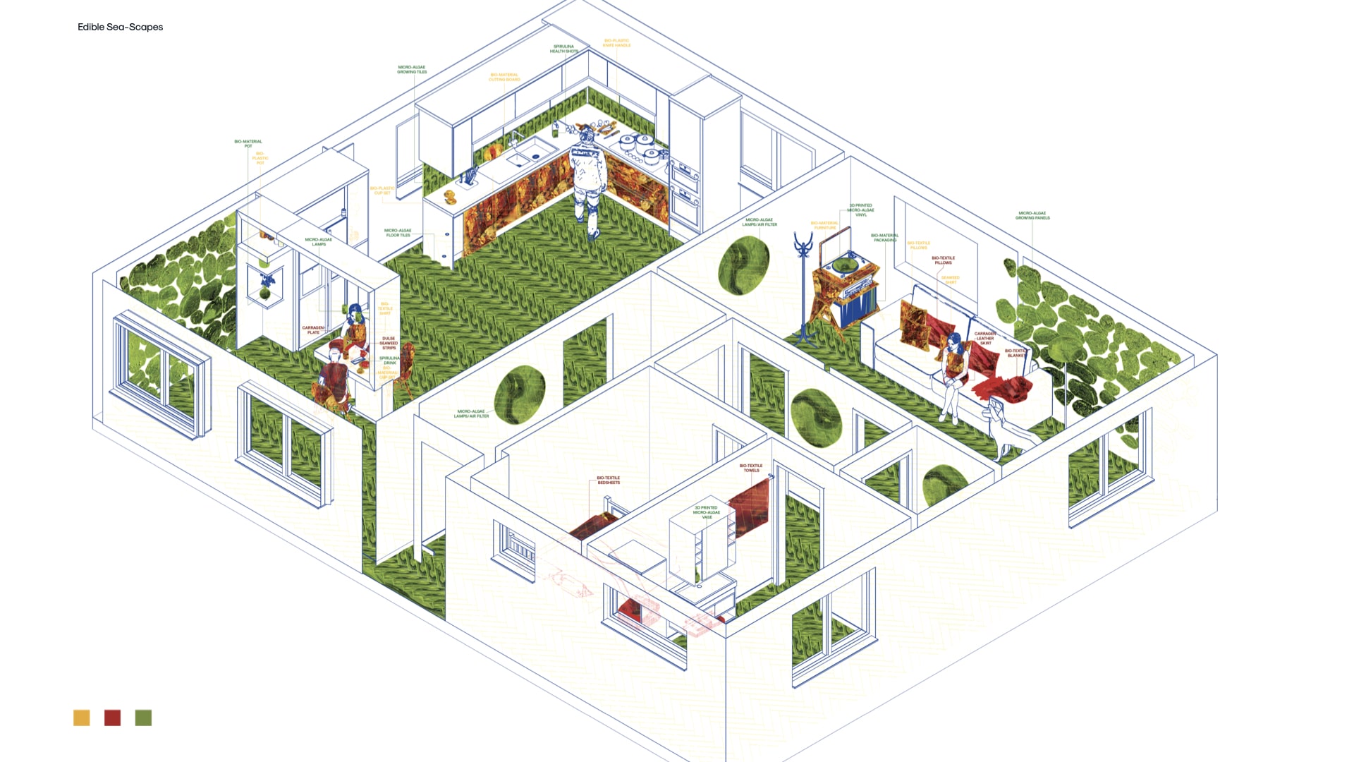 Algae culture implemented in personal life