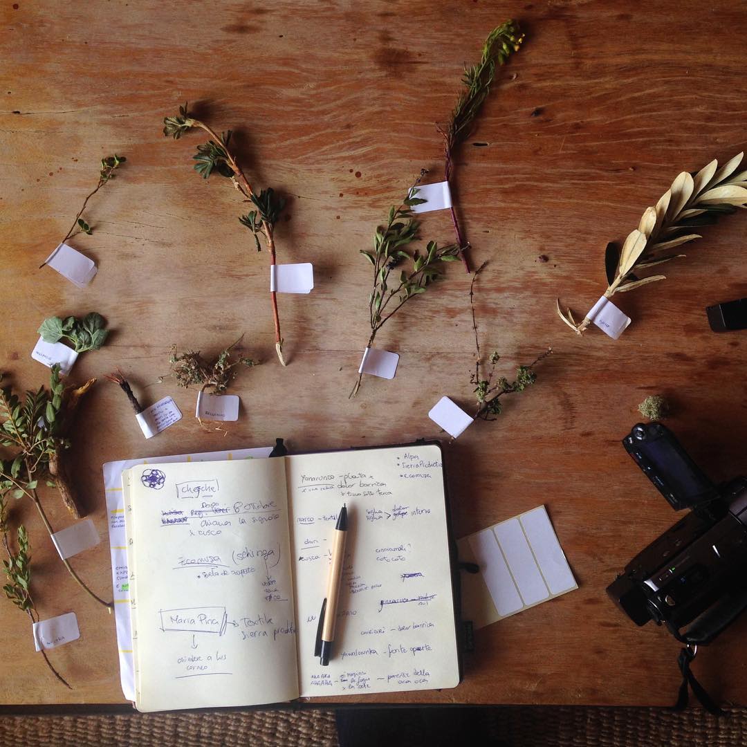 Design Talk #2 - Wild Flavours