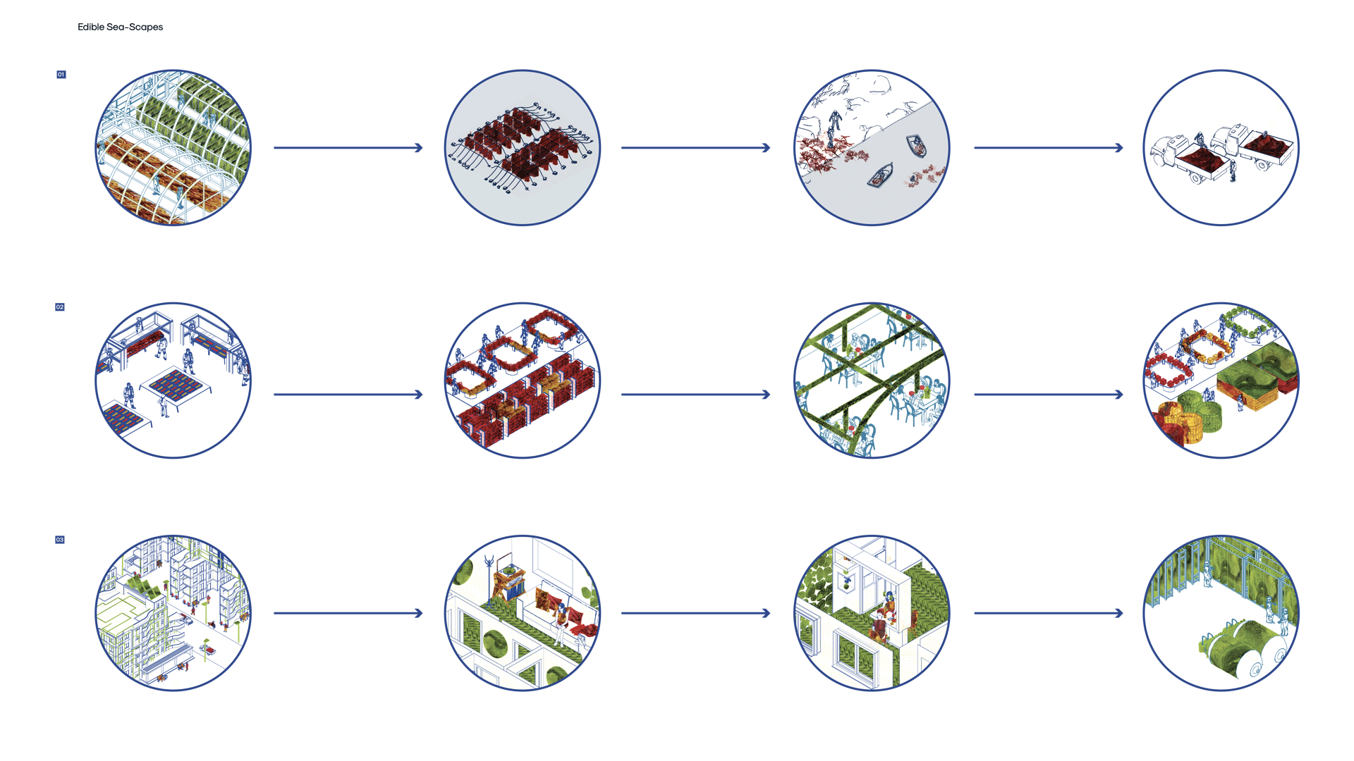 Phases of Implementation of seaweed culture