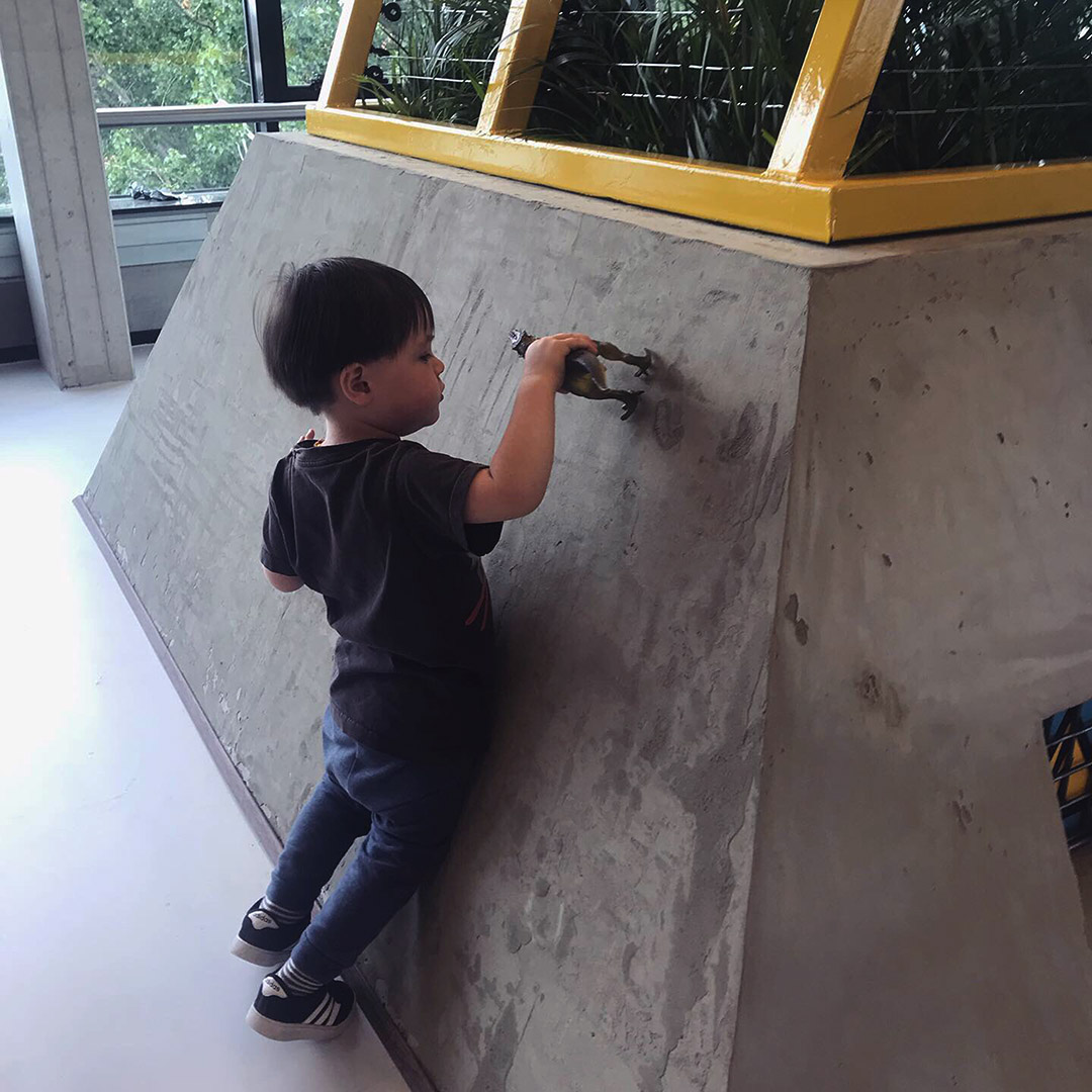 Domesticated Enclosure Kid