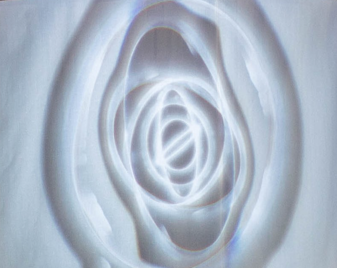 Live visualization projected onto installation