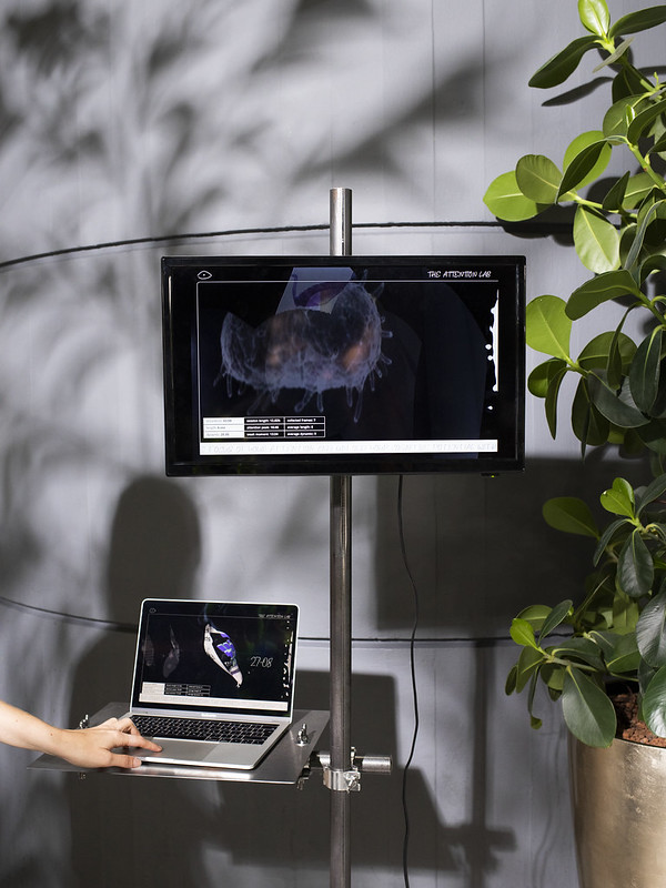 Pia Regenbrecht - The Attention Lab
