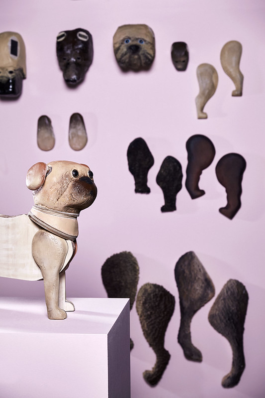 Imke Sloos - Dream Dog Workshop