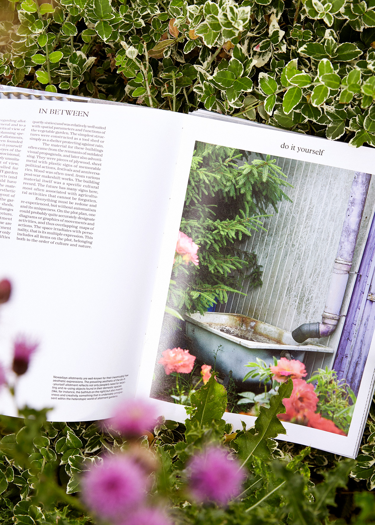 The in between magazine
