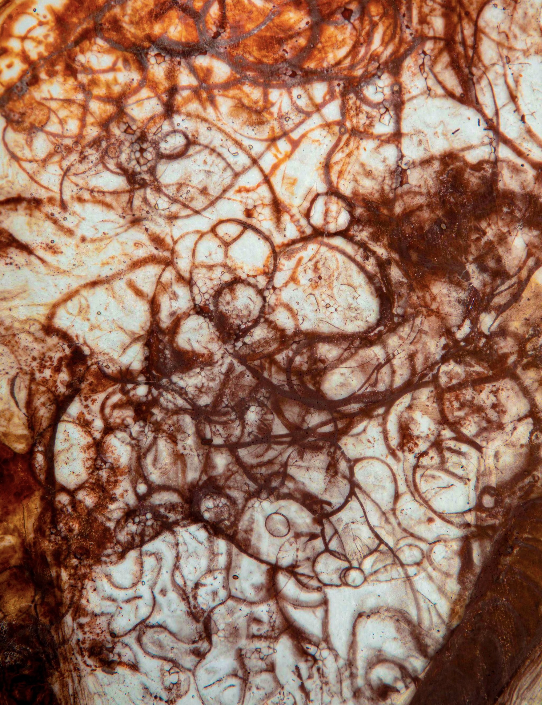 Plate Detail