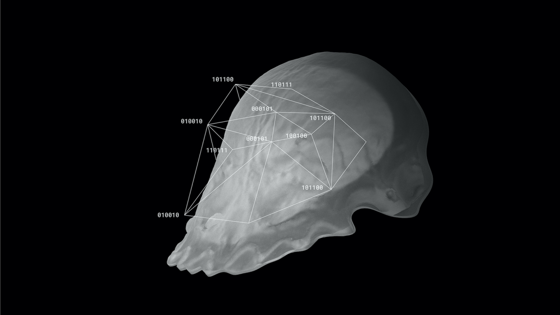 Palate Biometric Scan