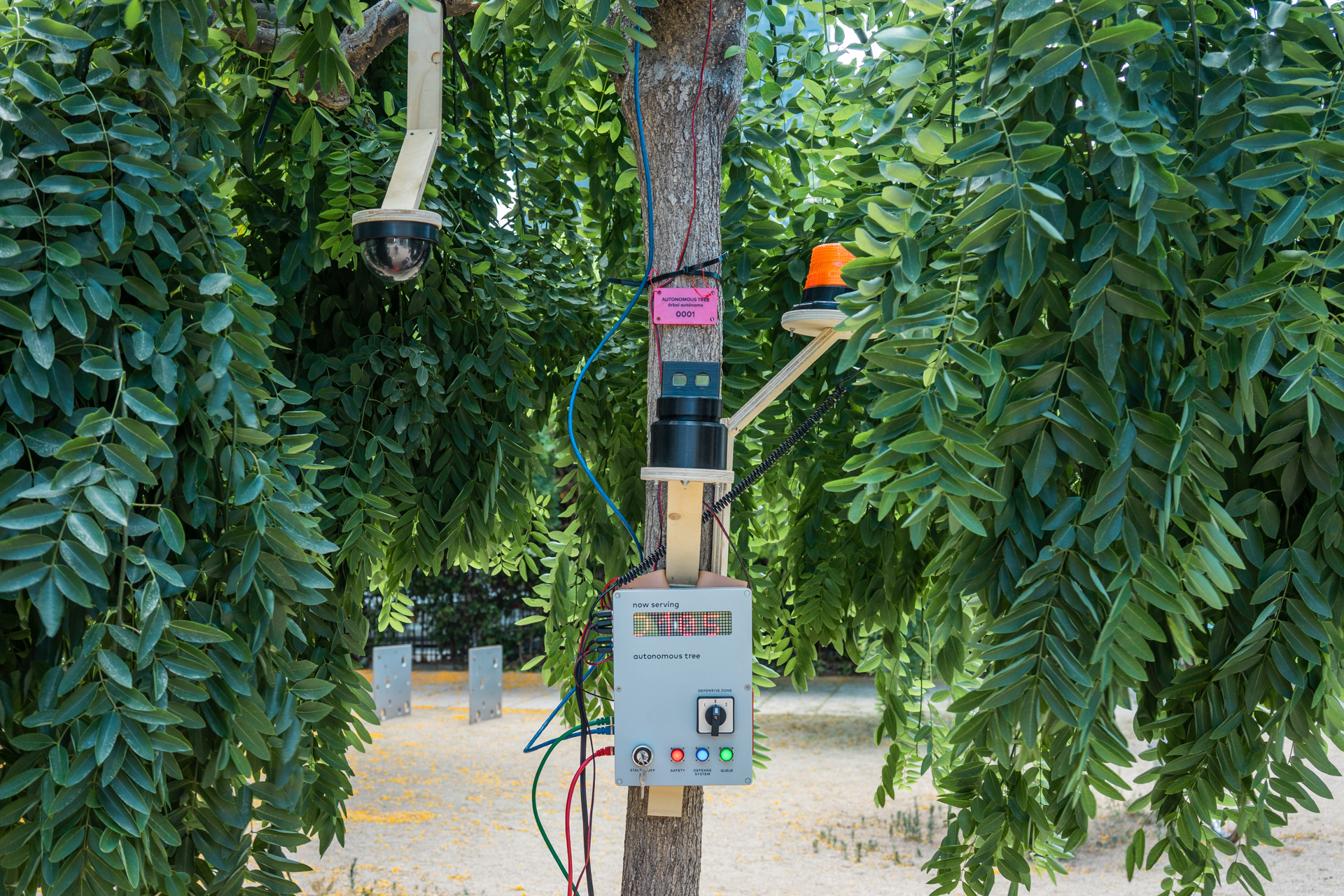 Various tools preserving the tree's autonomy