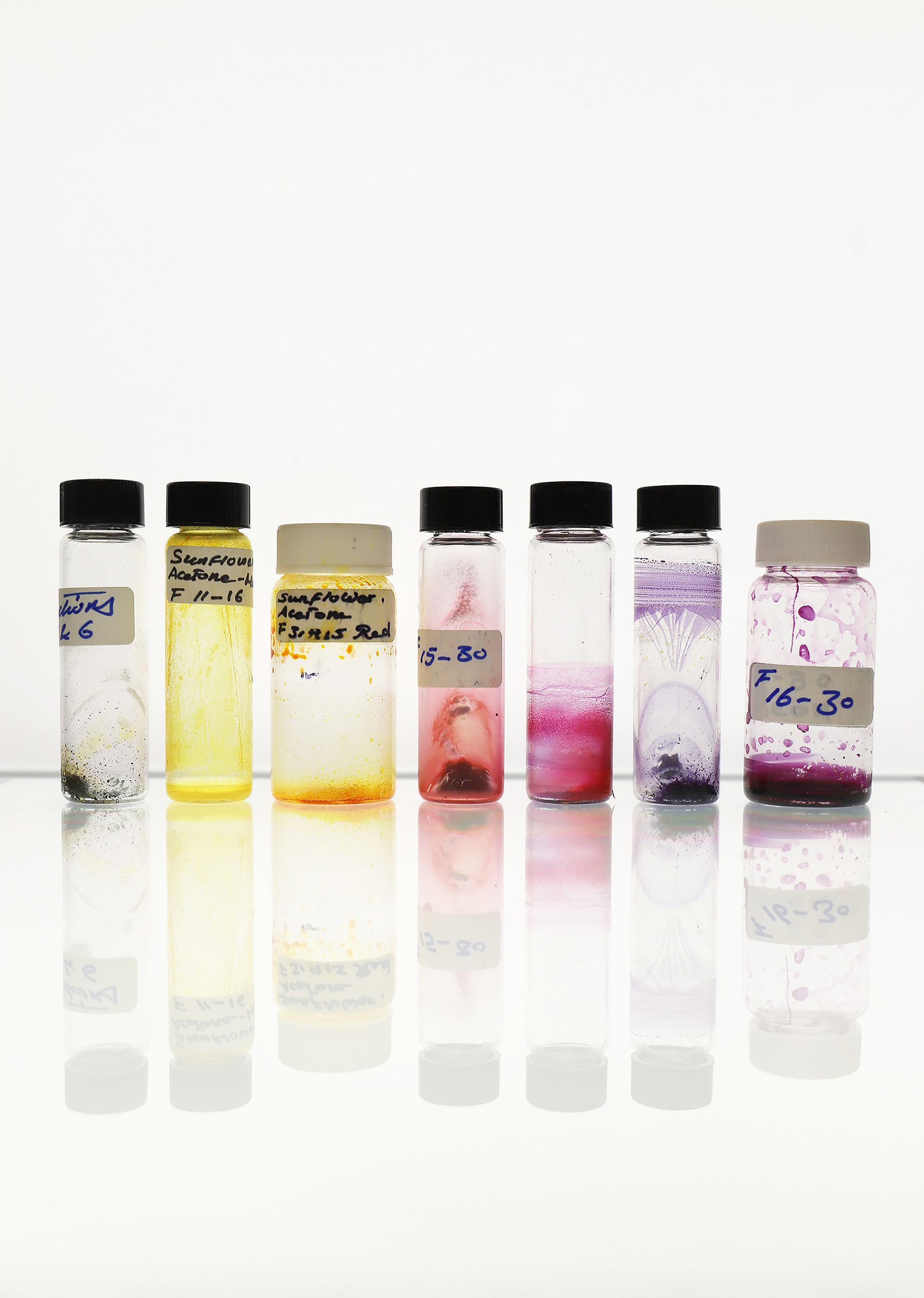 Sunflower pigments