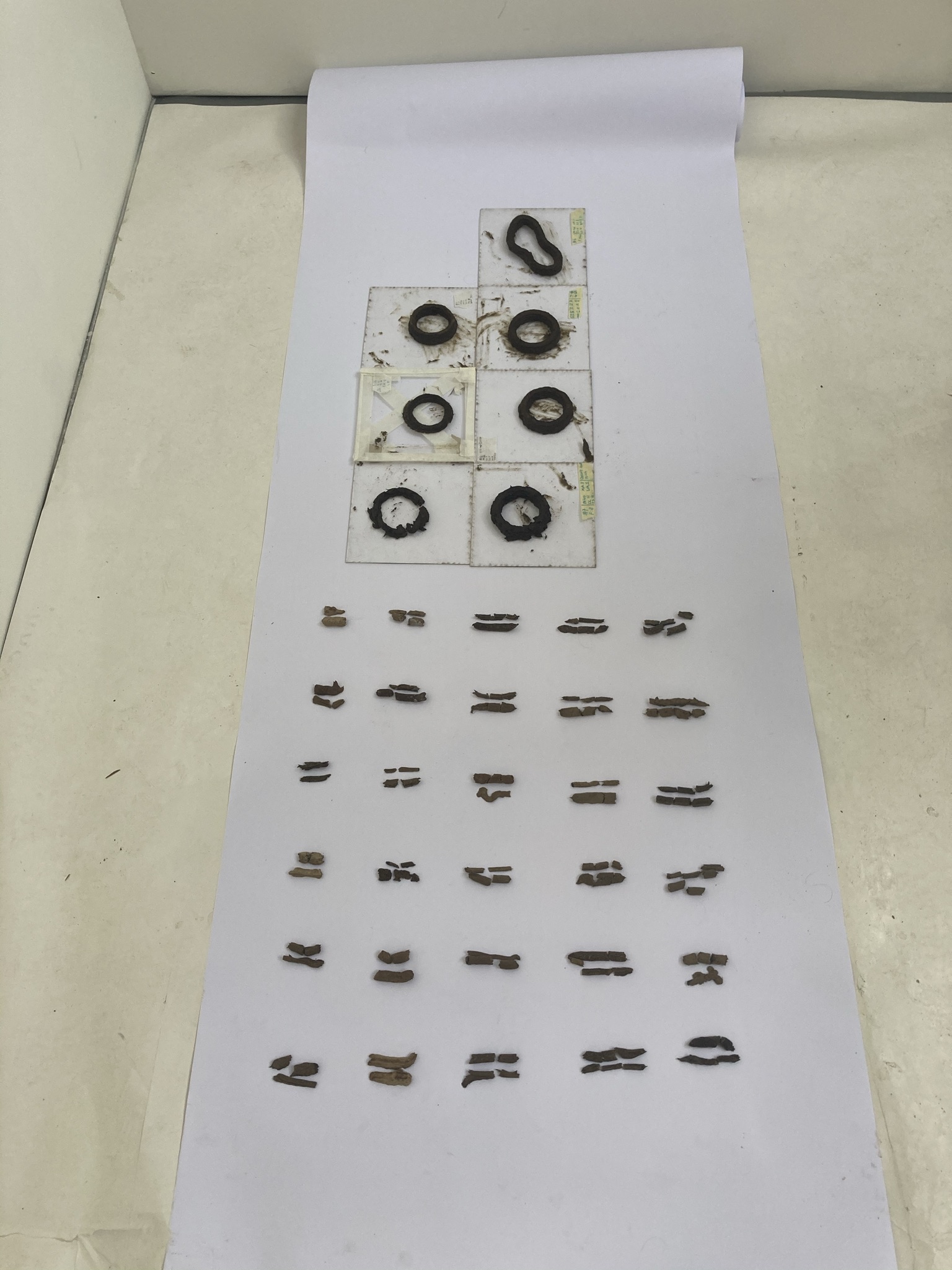 All of the cow dung samples