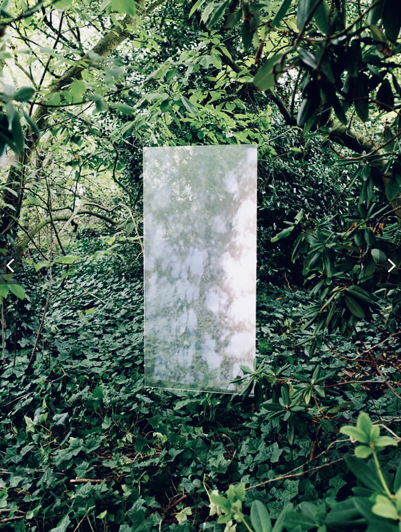 Installation with tree portrait